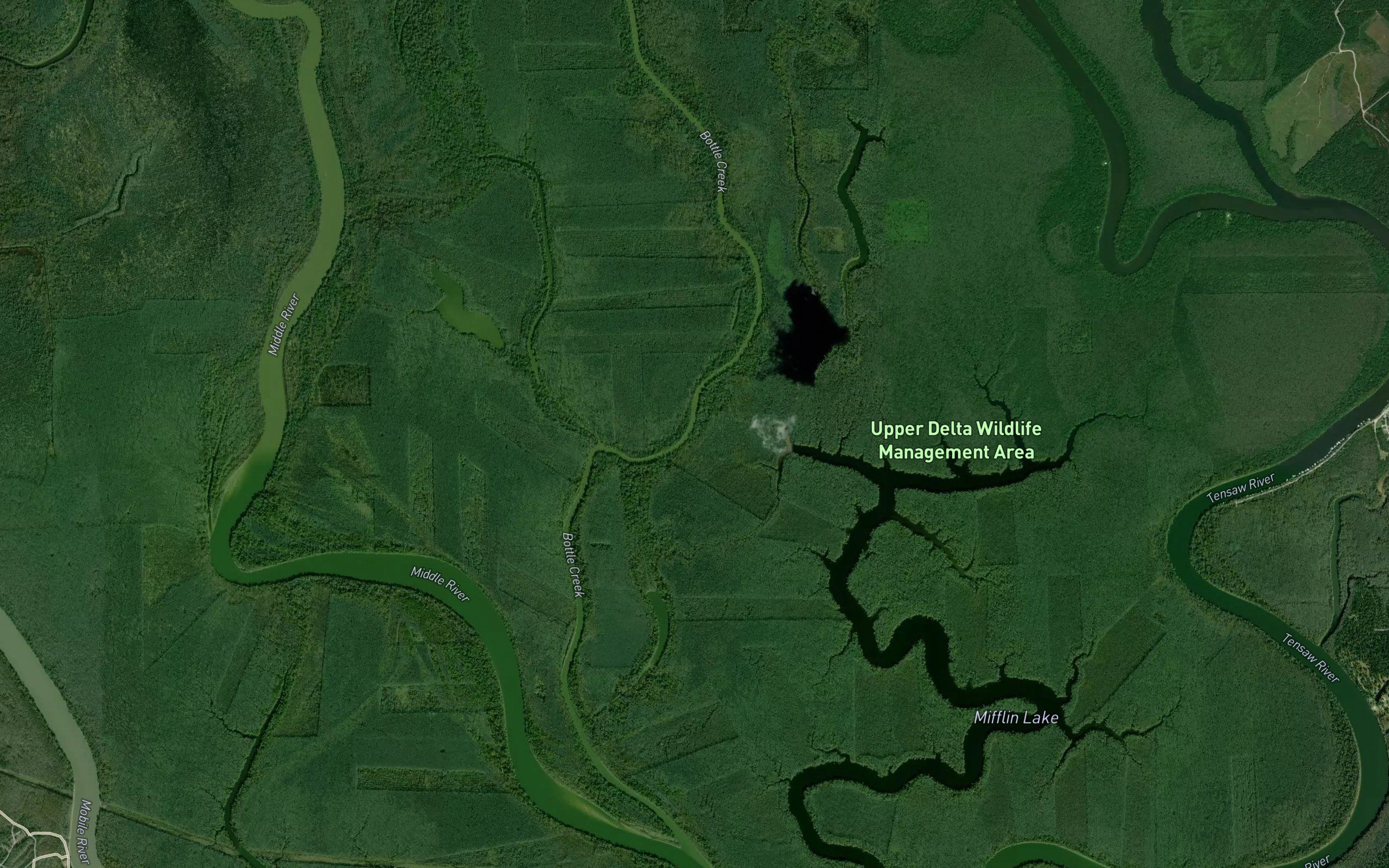 Bottle Creek