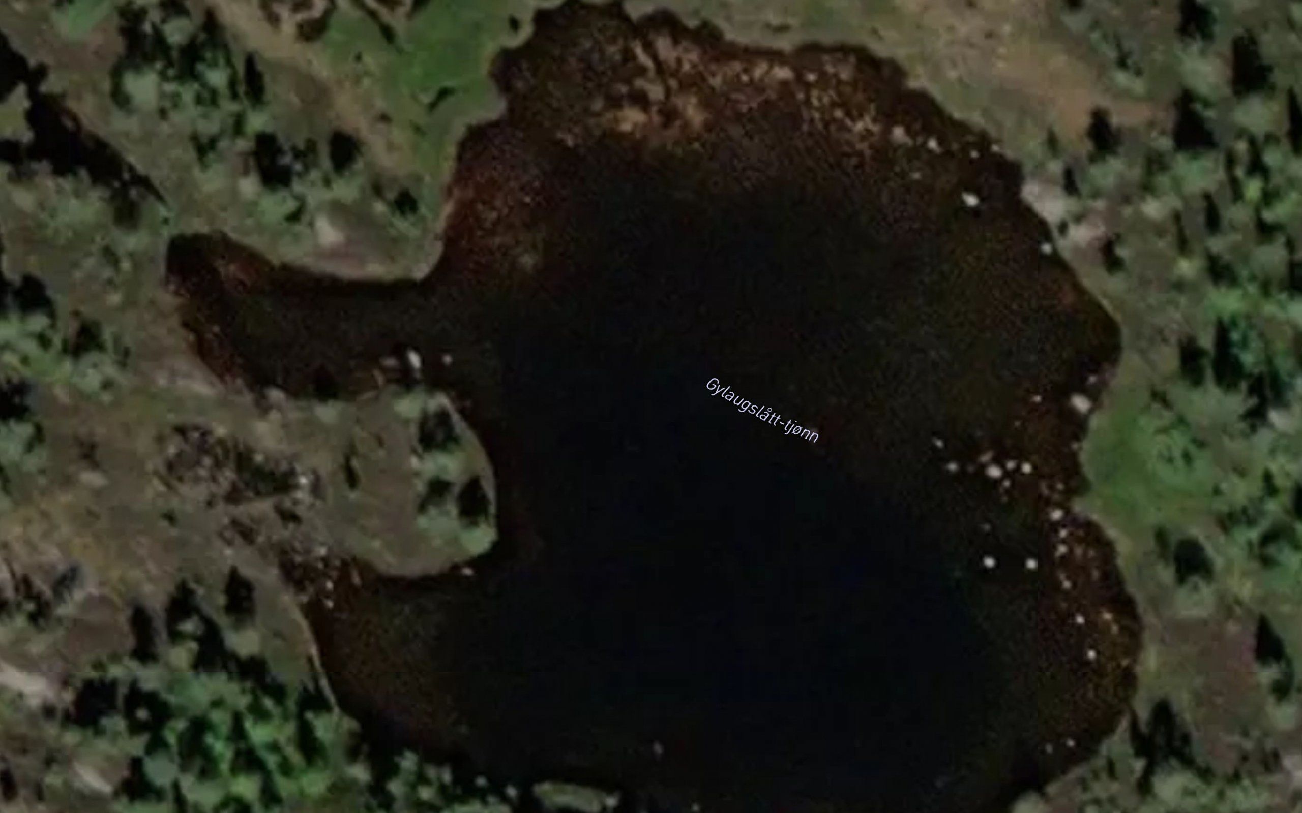 Gylaugslatt-tjonn