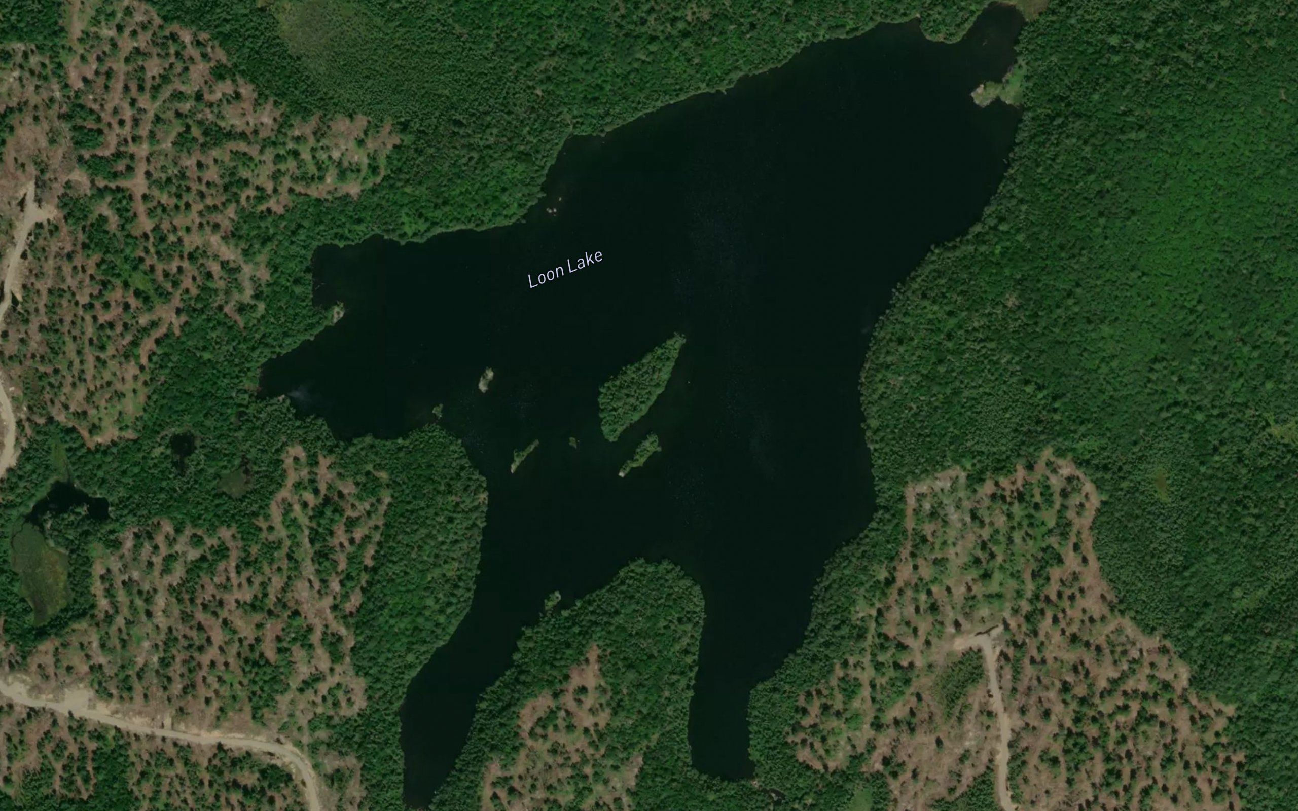 Loon Lake