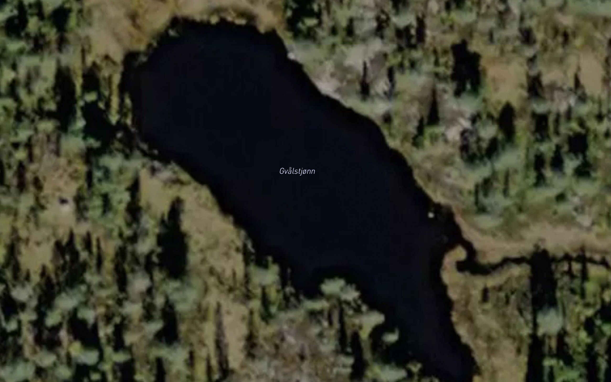 Gvalstjonn