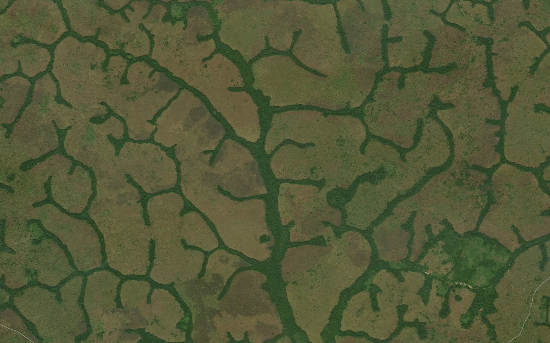 Satellite map of the Bikan
