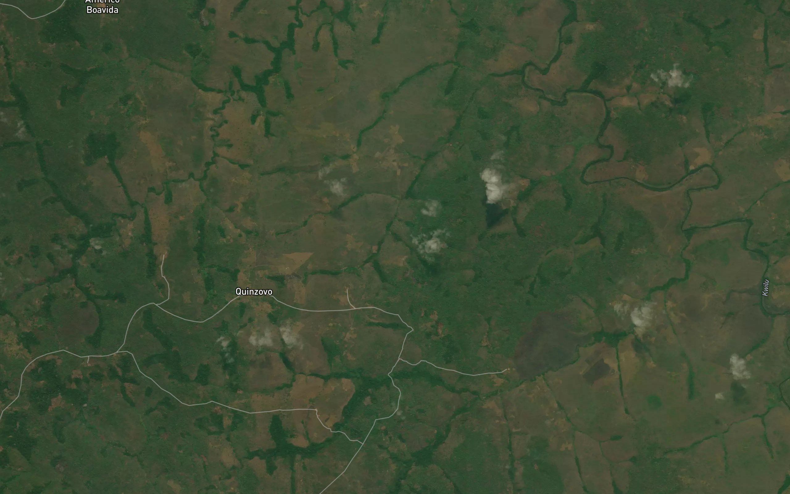 Tondogua
