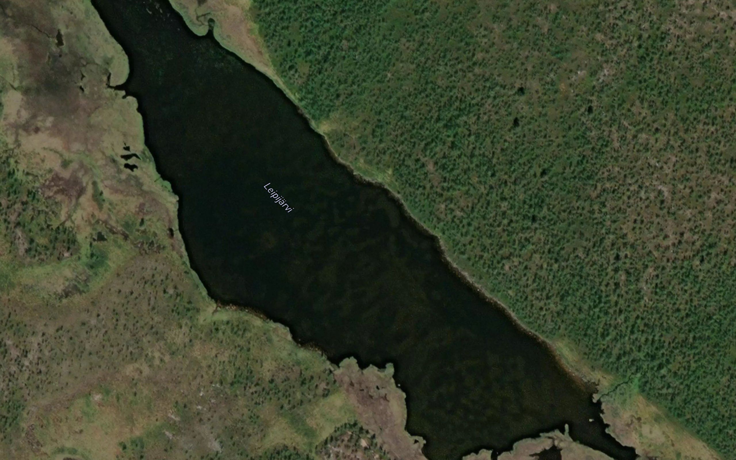 Leipijaervi