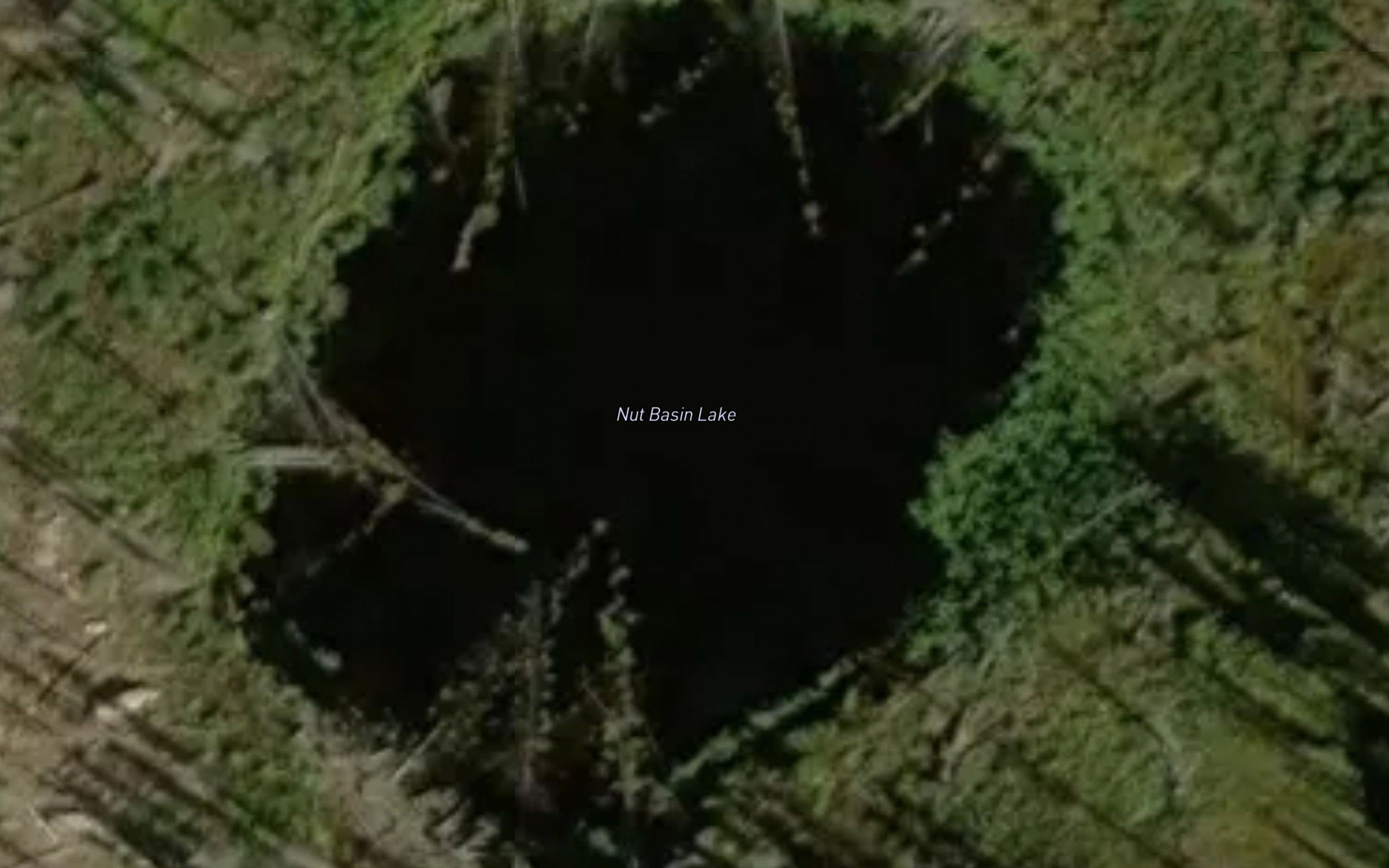 Nut Basin Lake