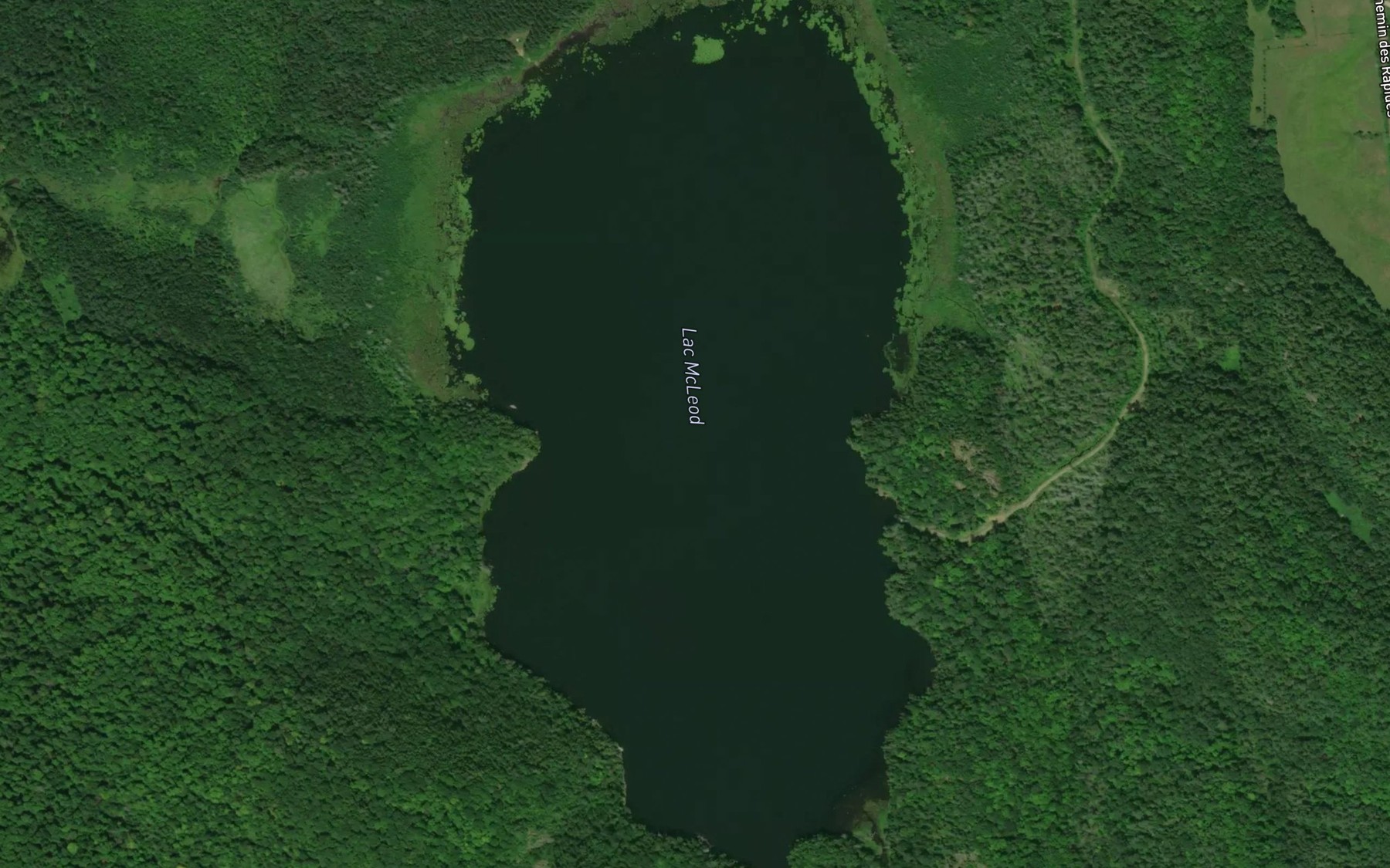 Satellite map of the Lac McLeod