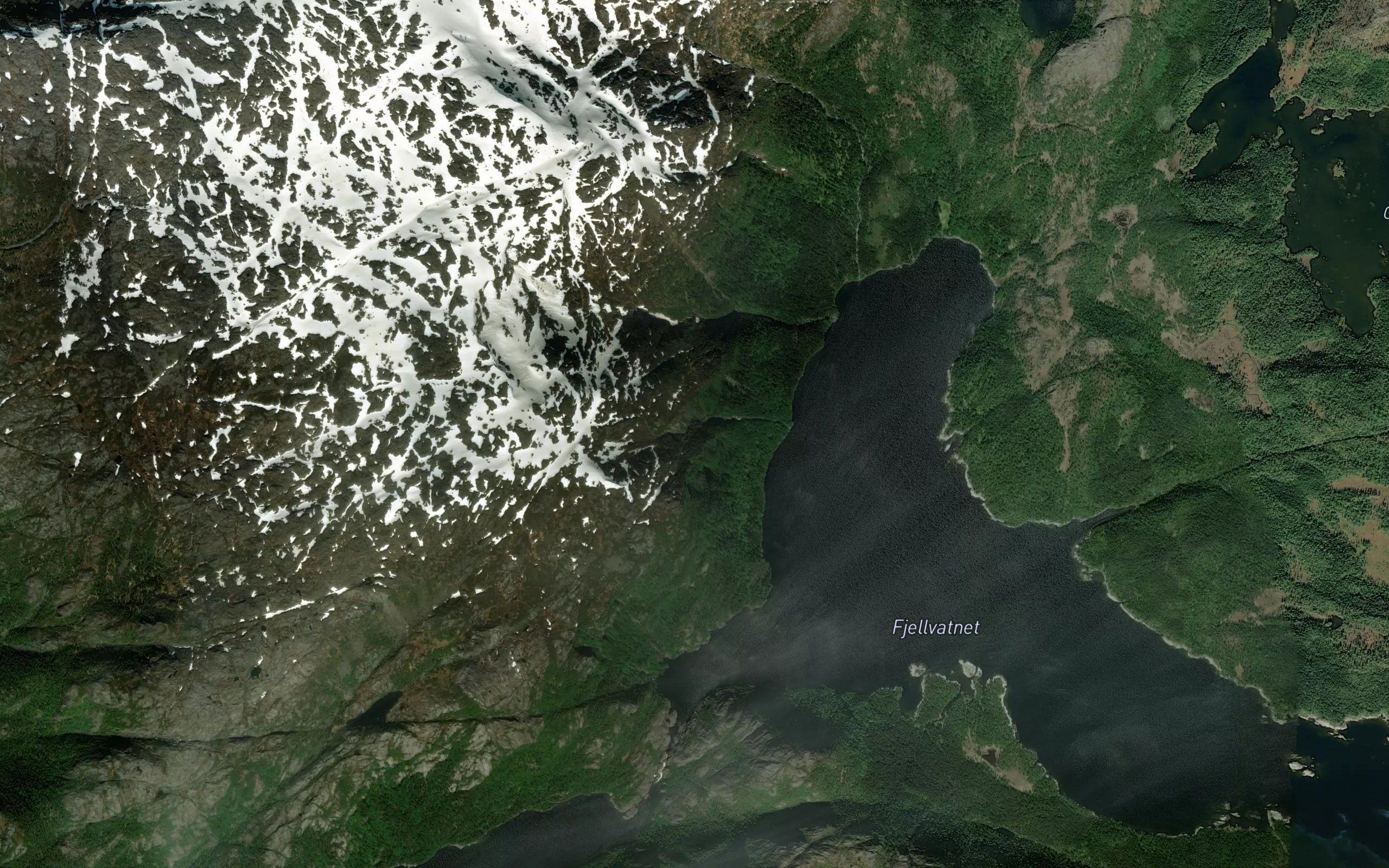Buranelva