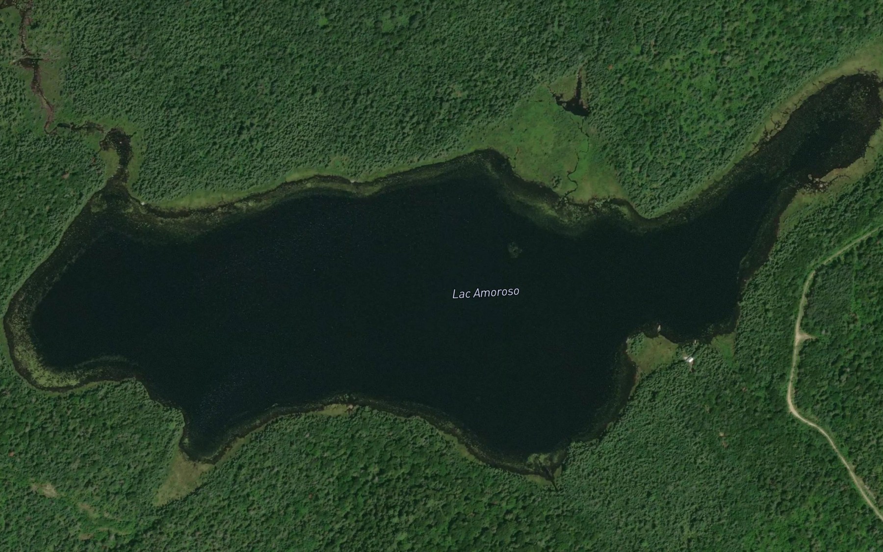 Satellite map of the Lac Amoroso