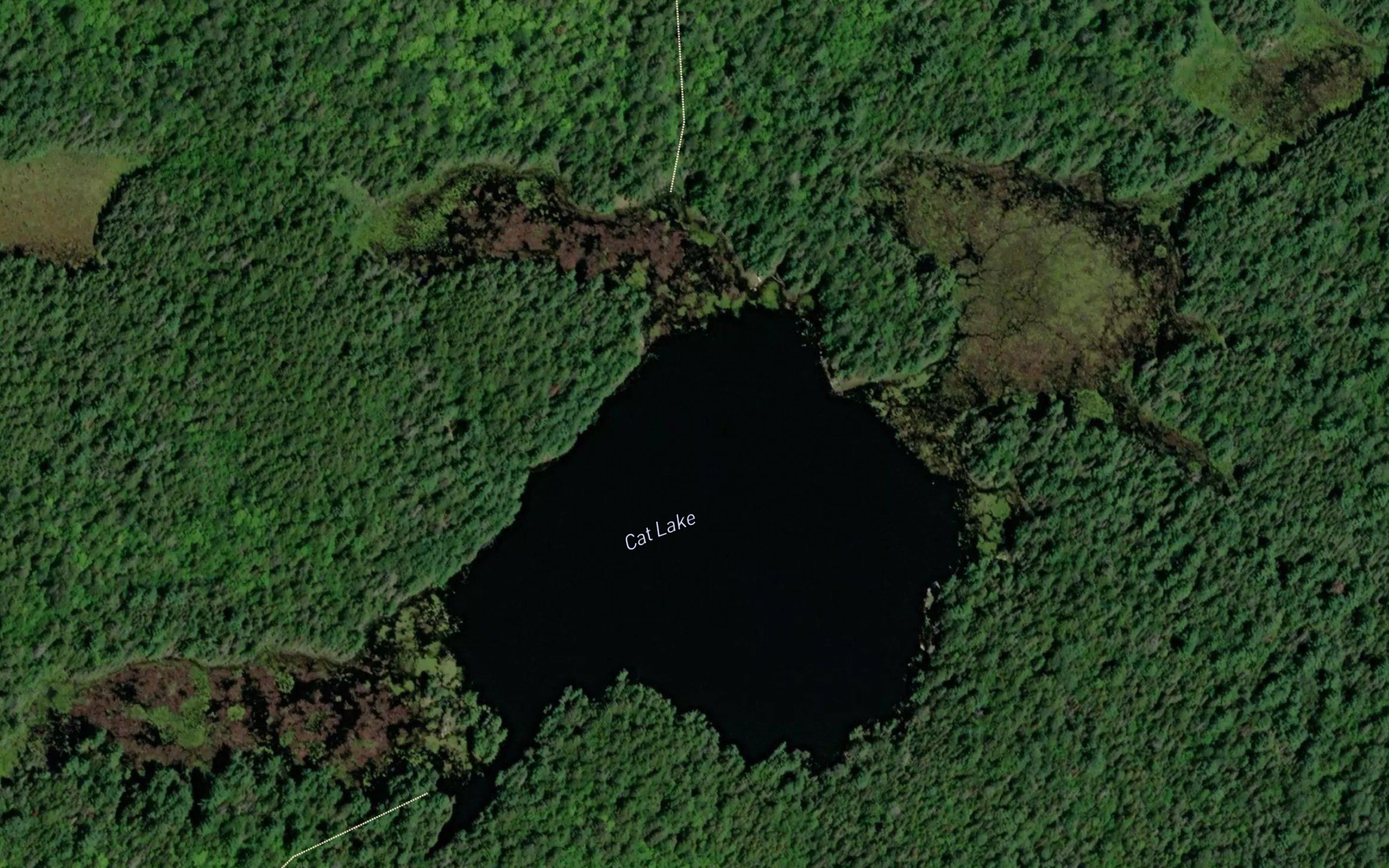 Cat Lake