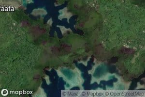 Paata-Wonei Islands Mangrove Causeway