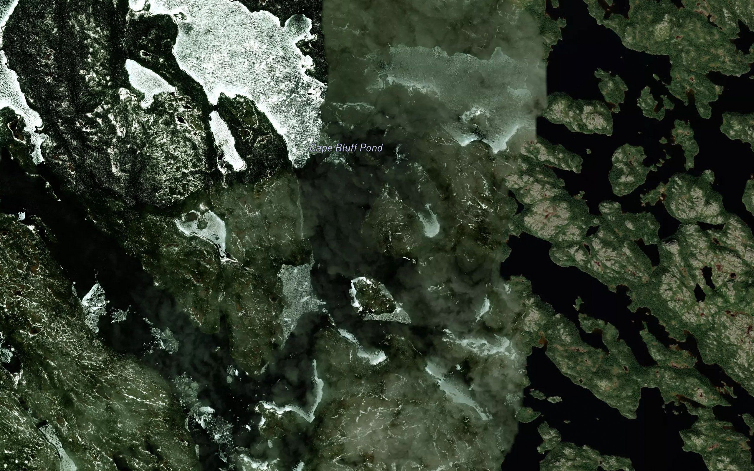 Cape Bluff Pond