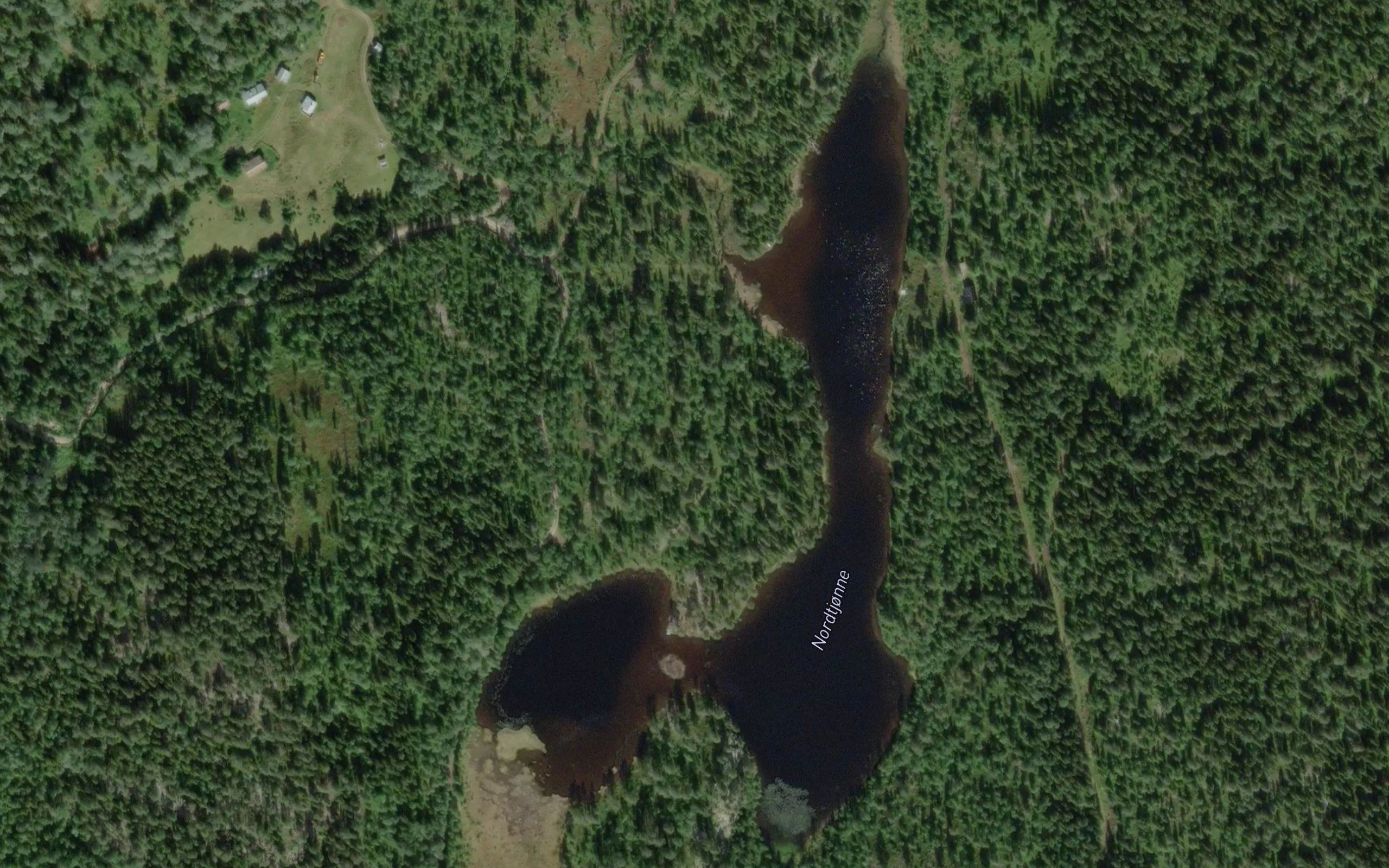 Nordtjorni