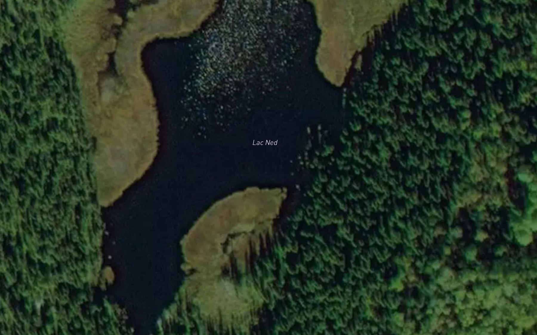 Satellite map of the Lac Ned