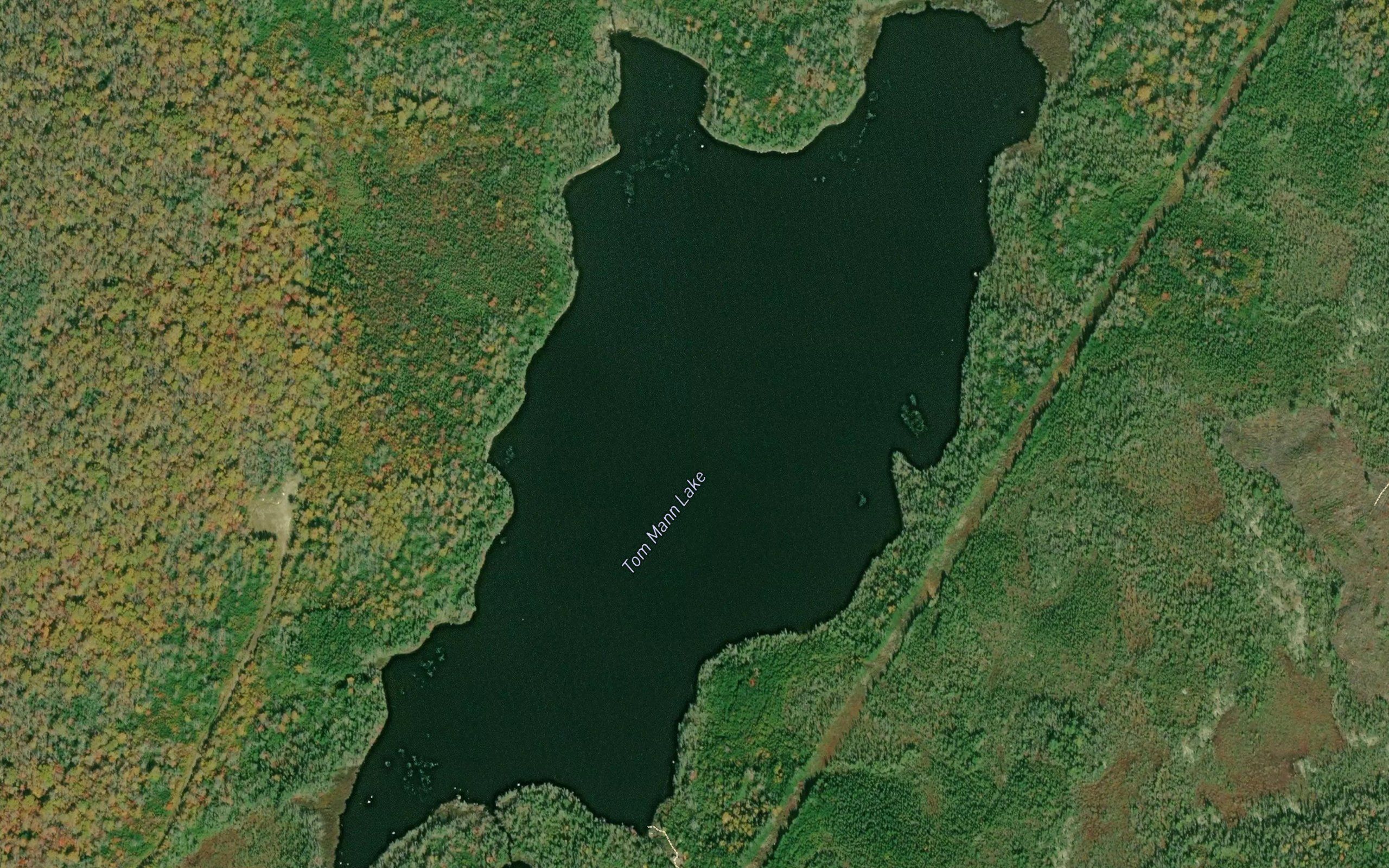 Tom Mann Lake