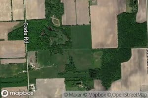 Black Segate Reid Drain