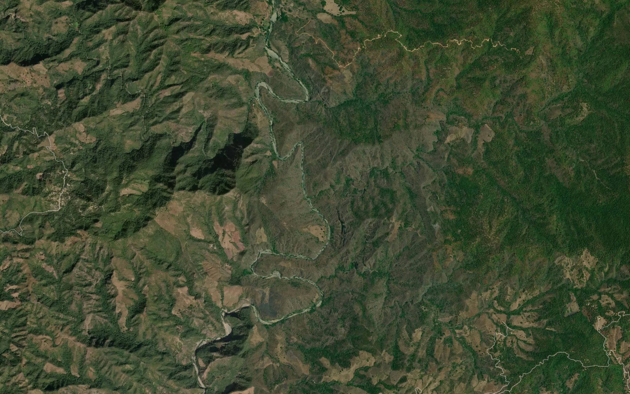 La Platanillera