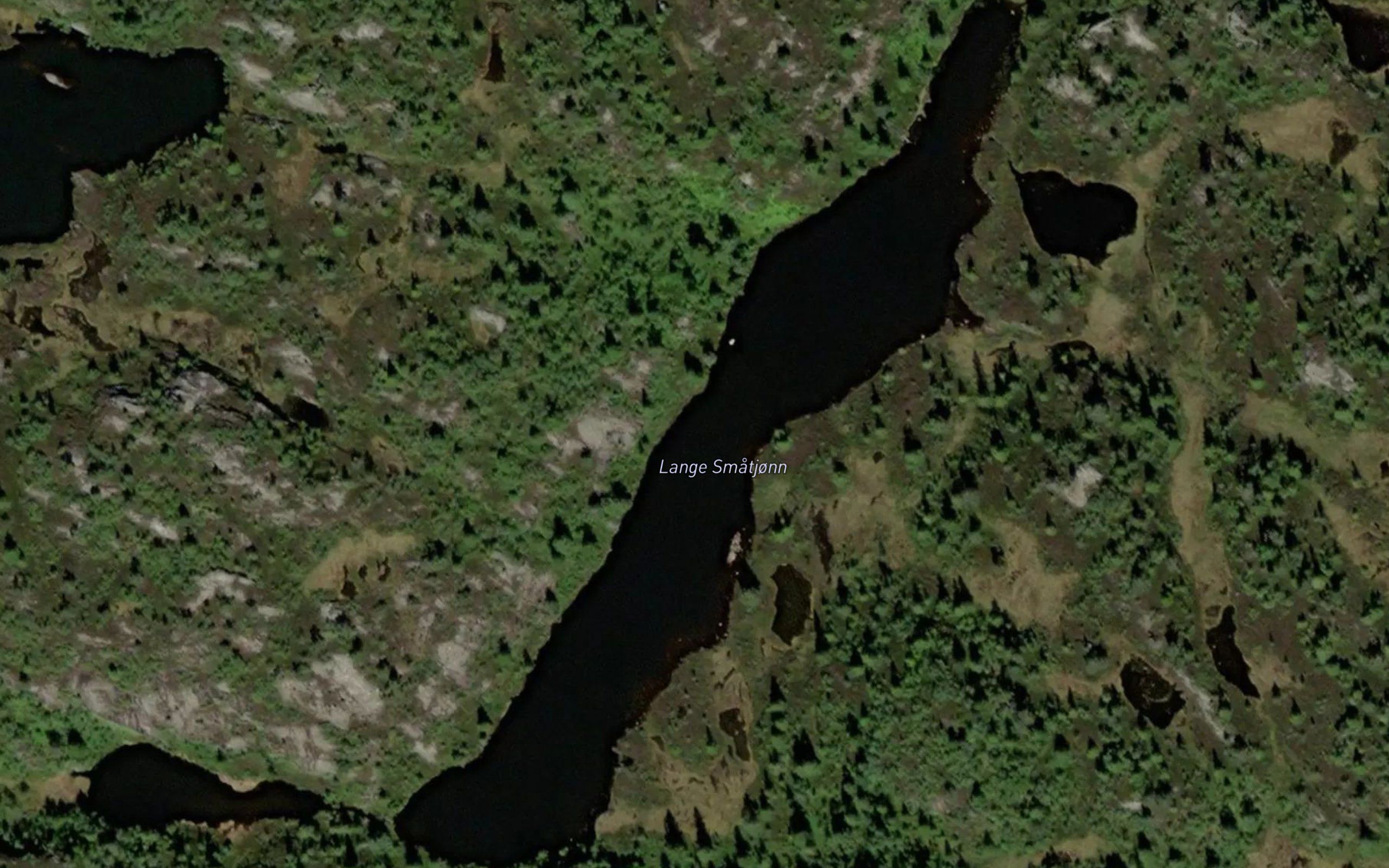 Lange Smatjonn