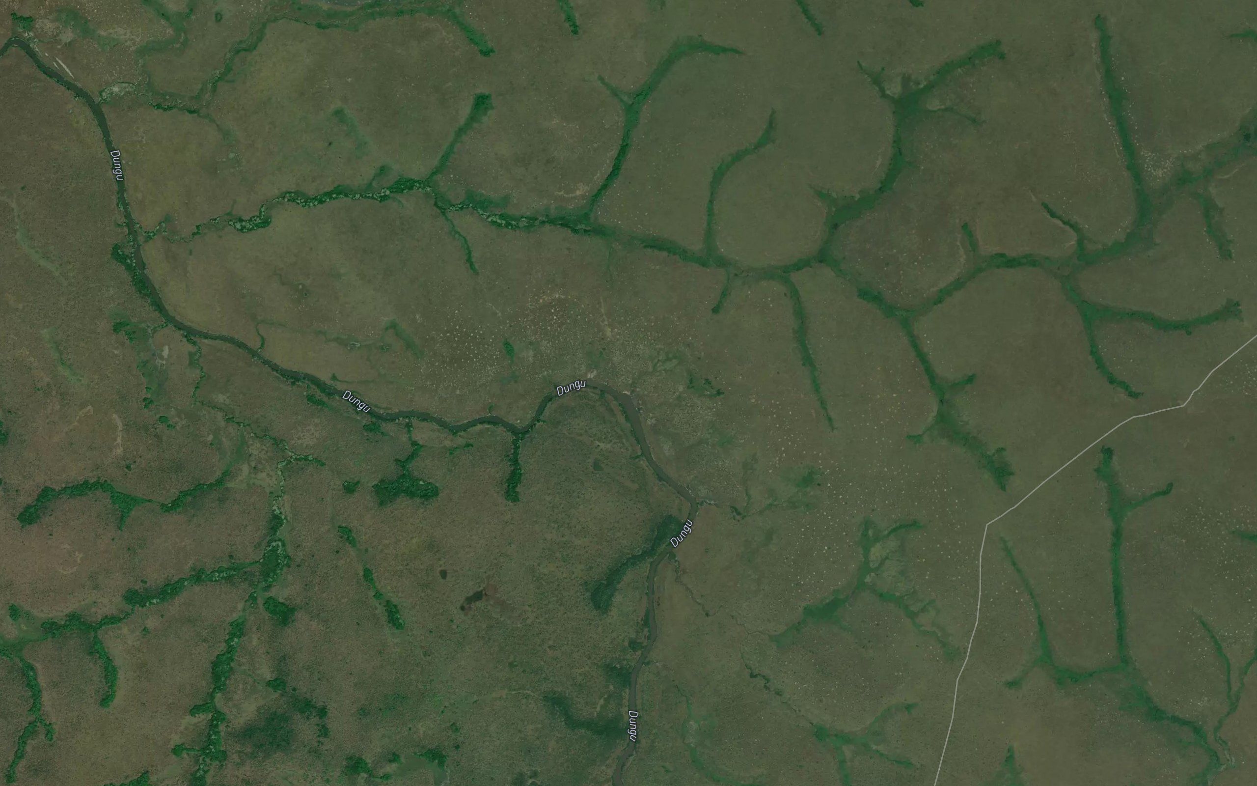 Nangulu