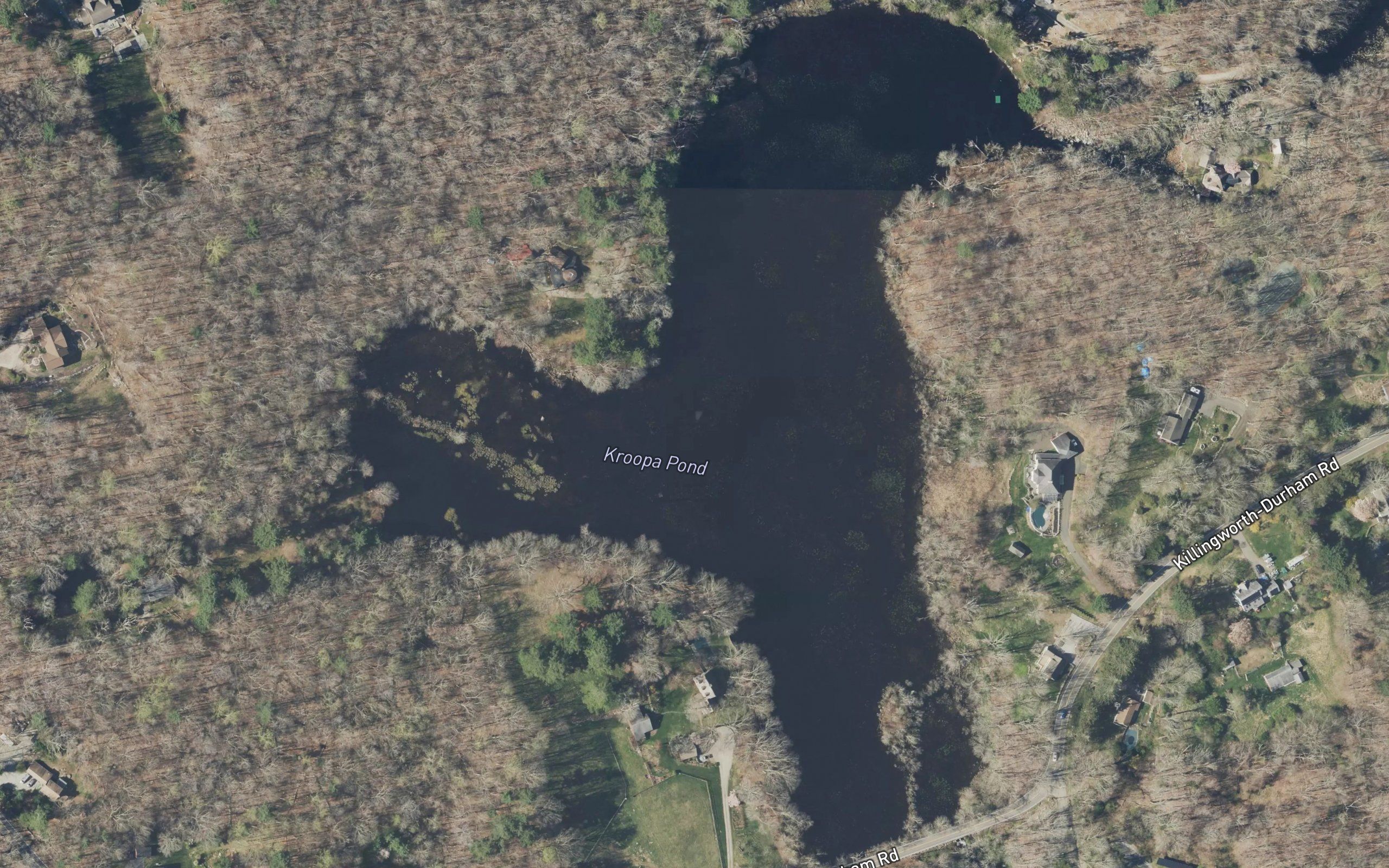 Kroopa Pond