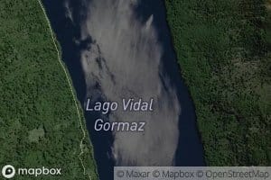 Lago Vidal Gormaz
