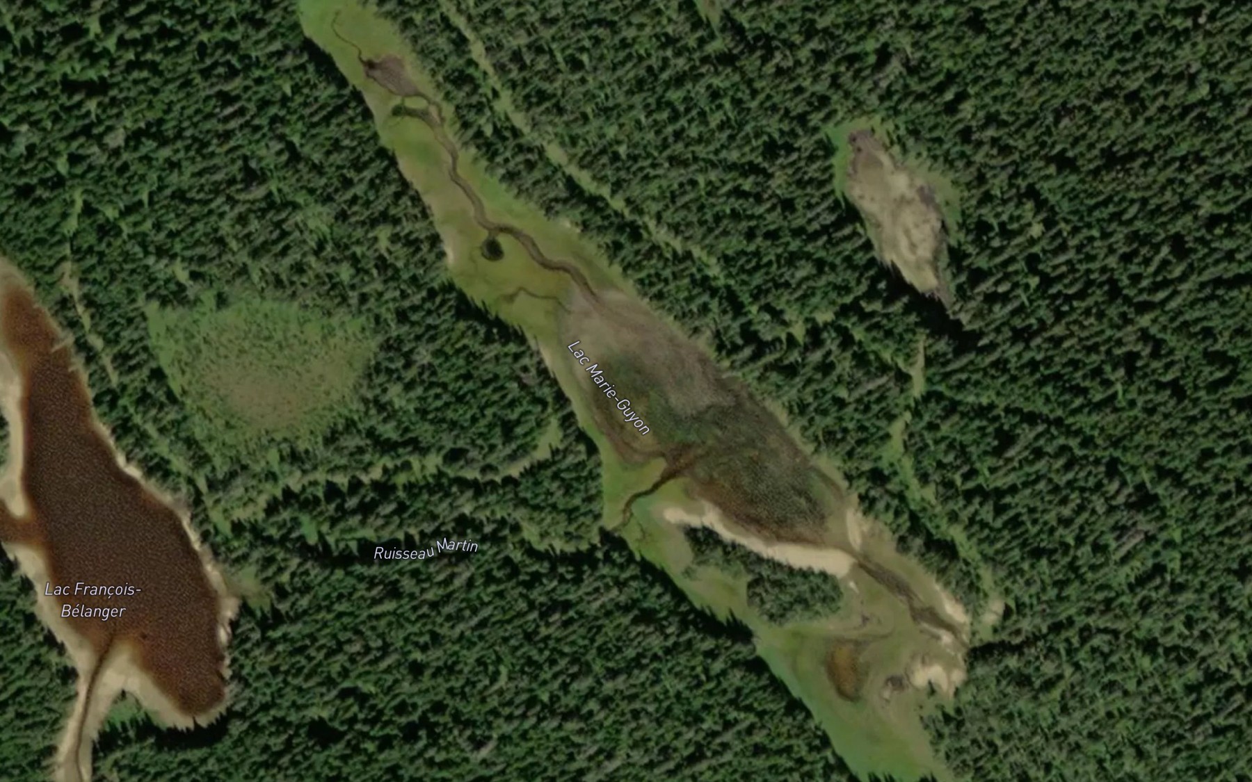 Satellite map of the Lac Marie-Guyon