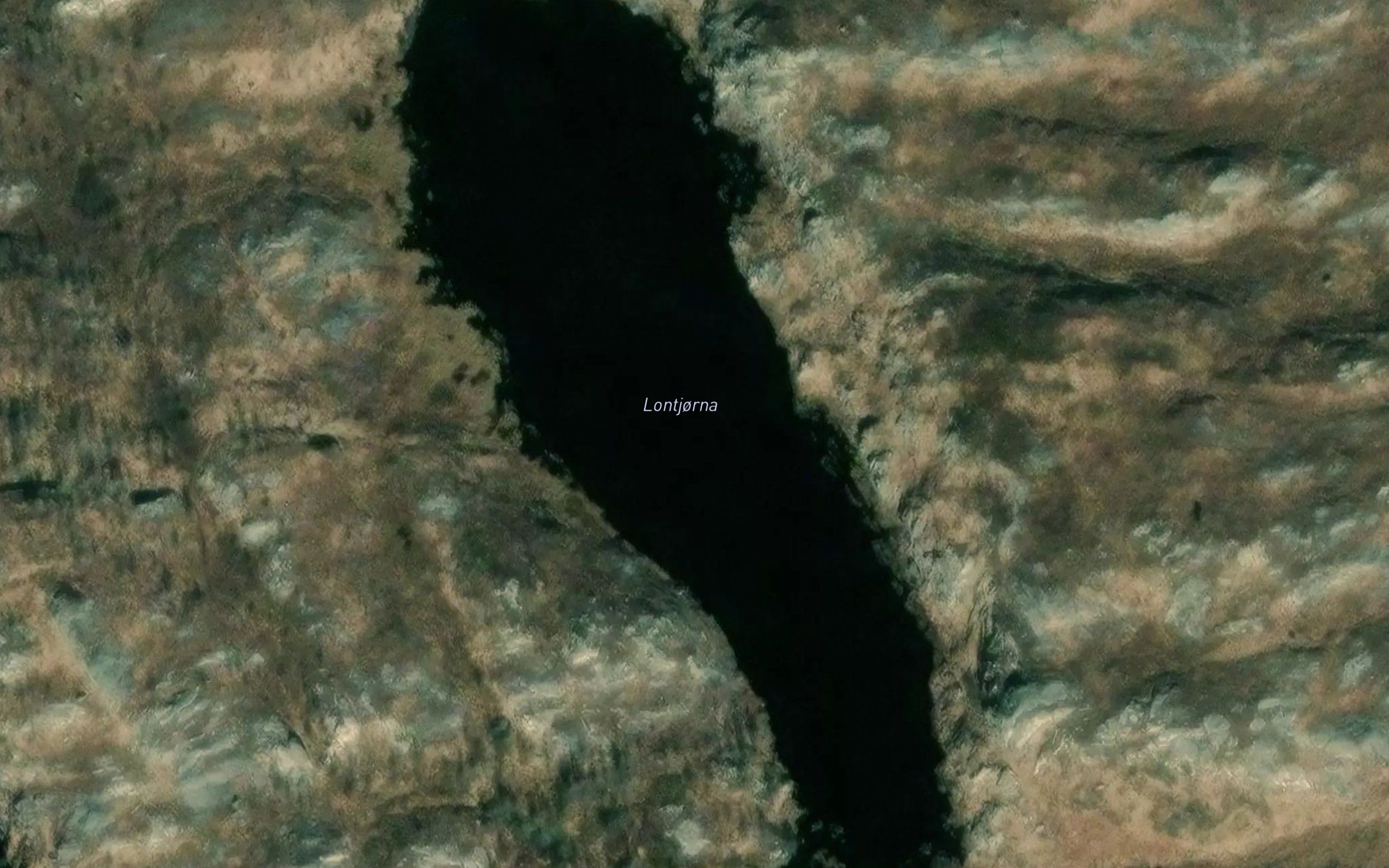 Lontjorna