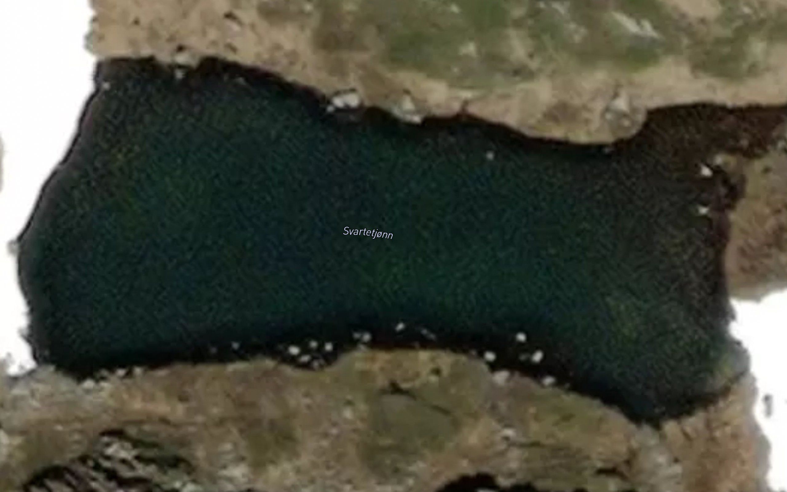 Svartetjonn