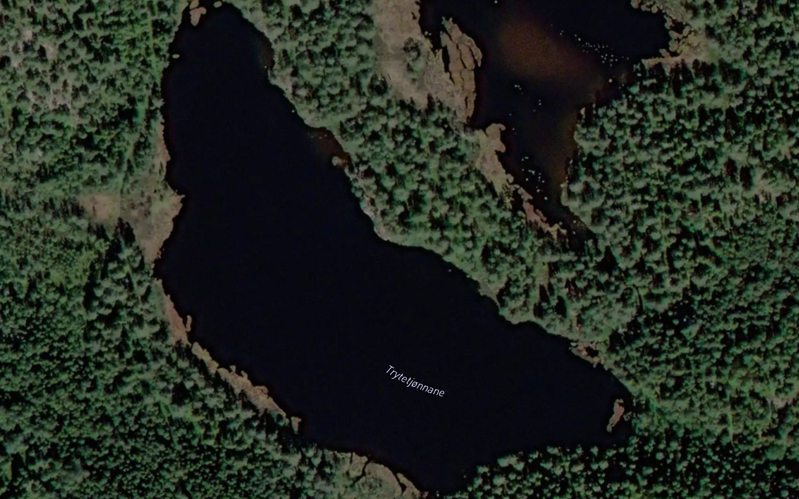 Trytetjornane