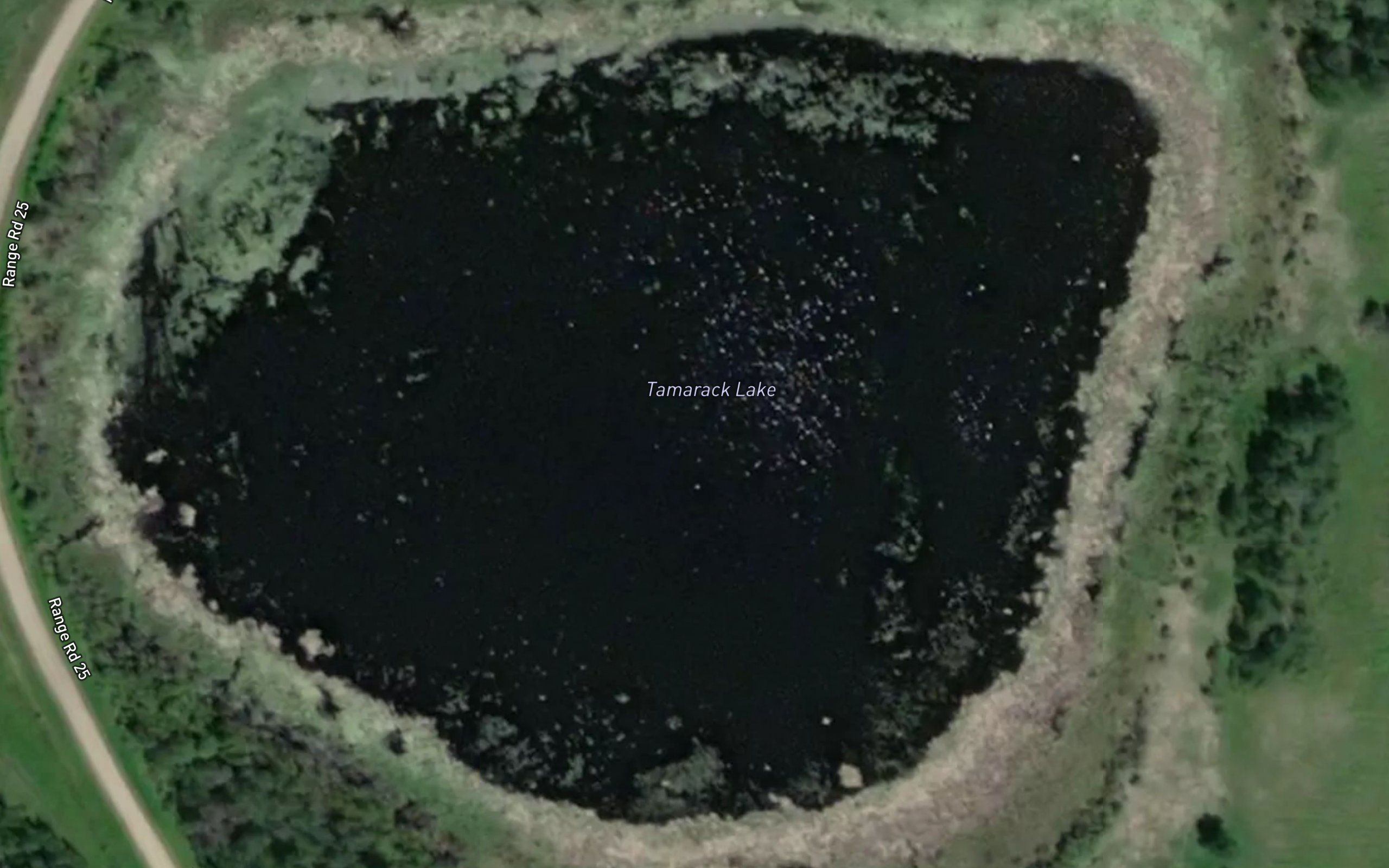 Tamarack Lake