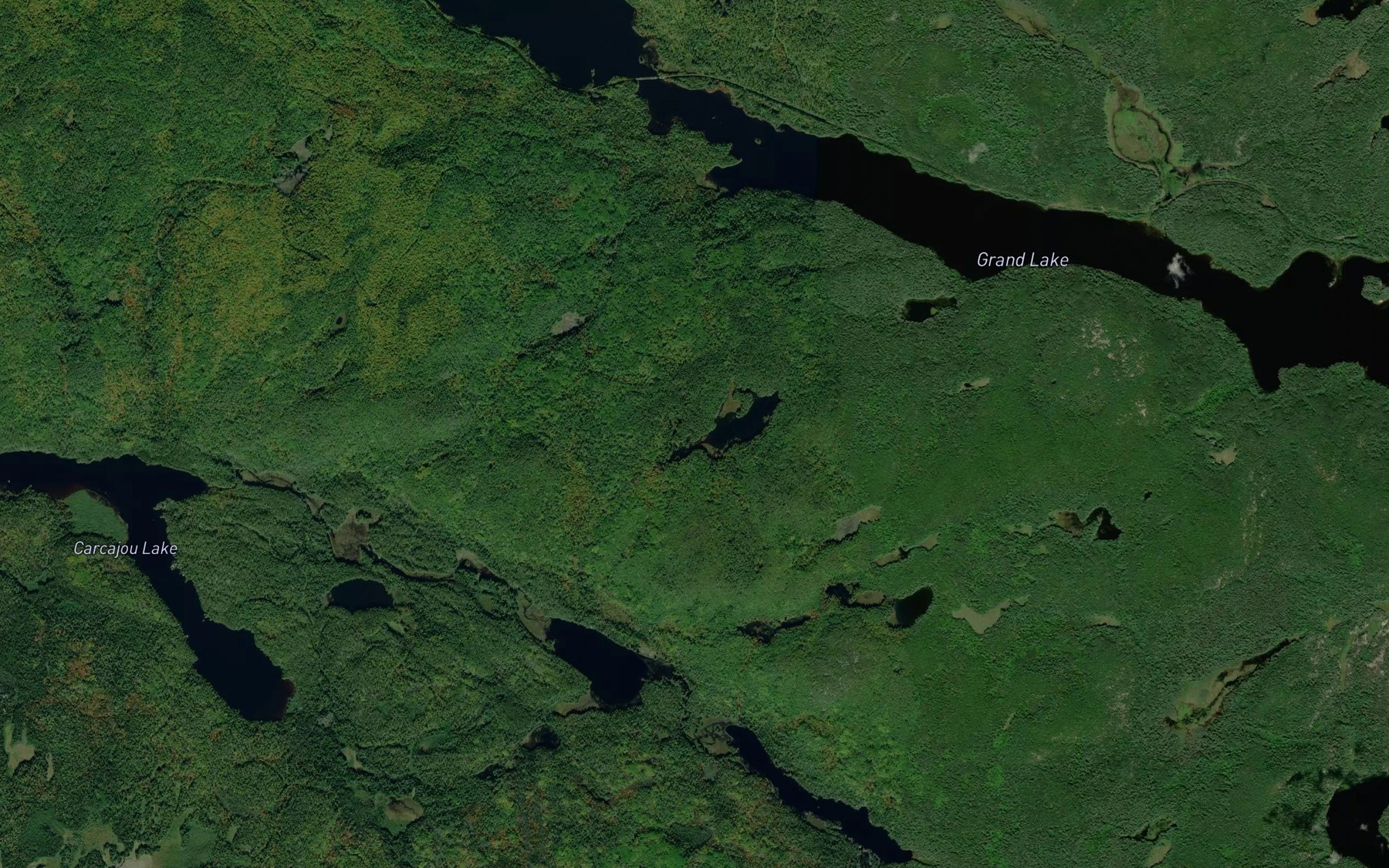 Satellite map of the Beech-drops Pond