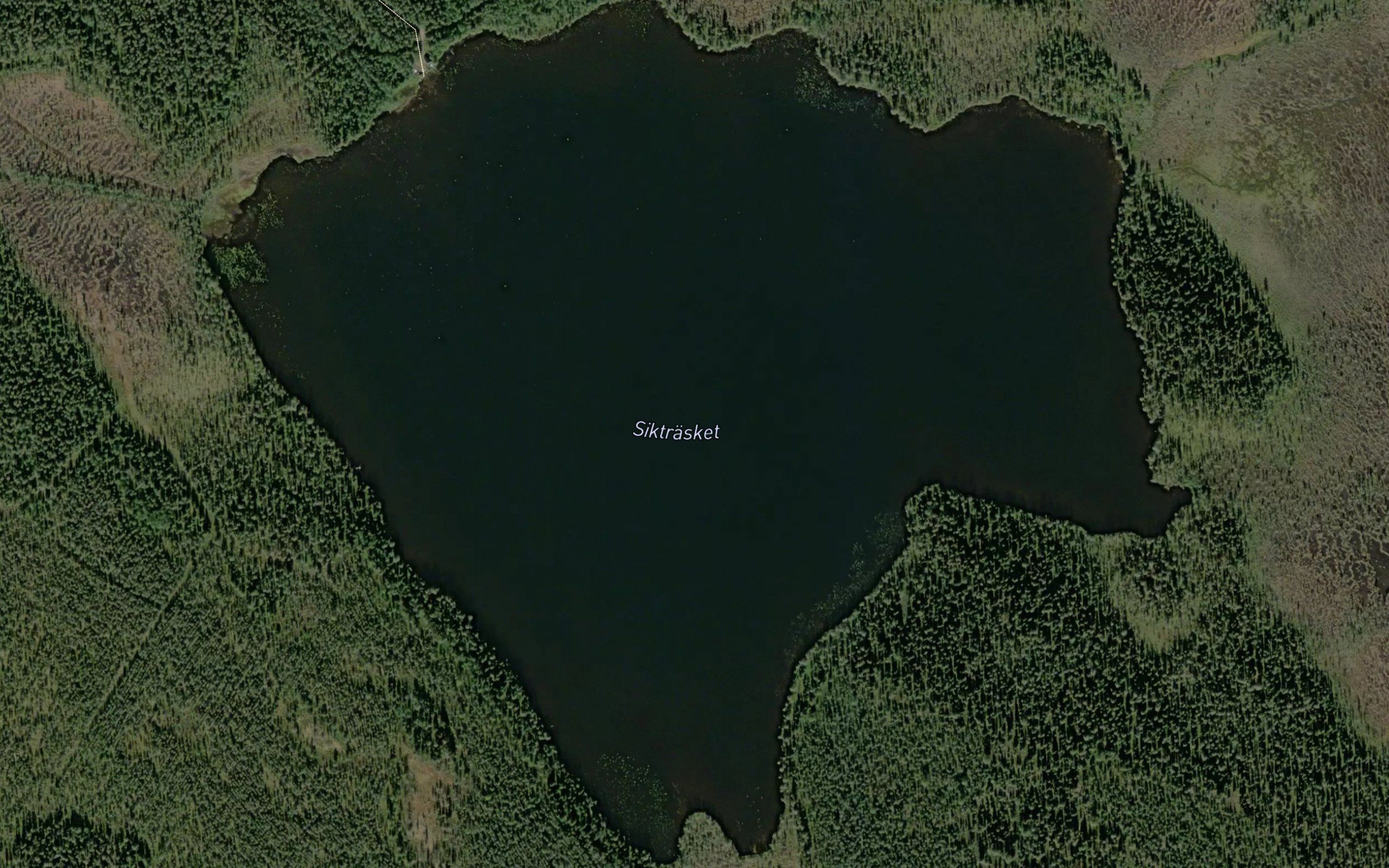 Siktraesket
