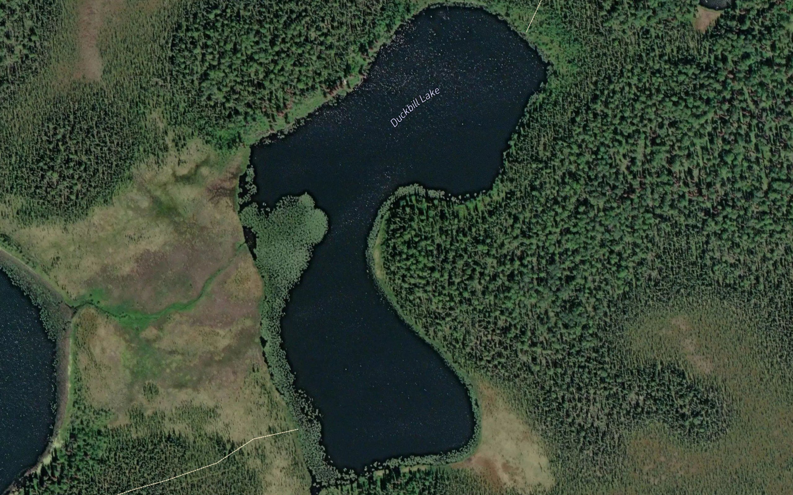 Duckbill Lake