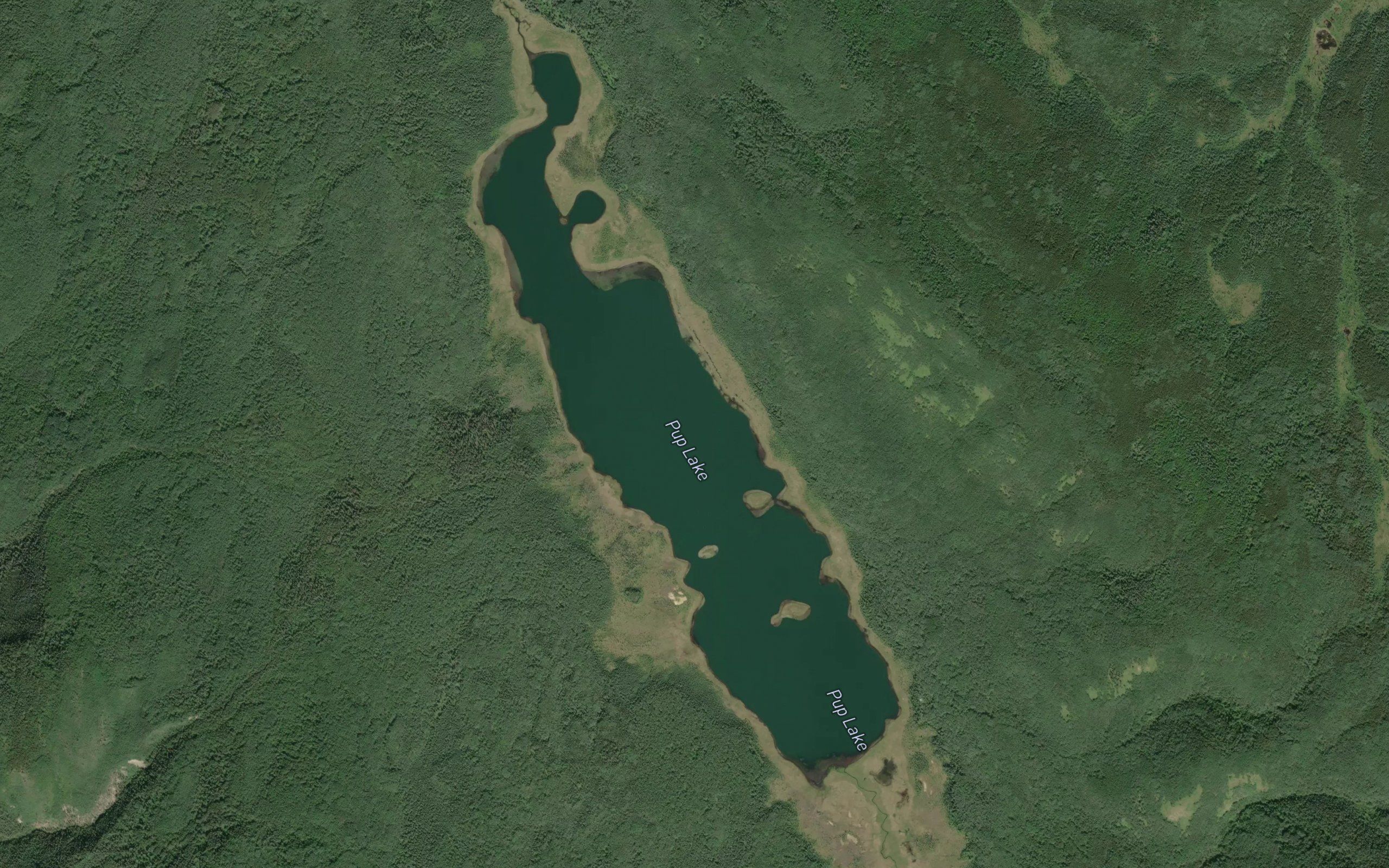 Pup Lake