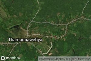 Tammennawetiya Wewa