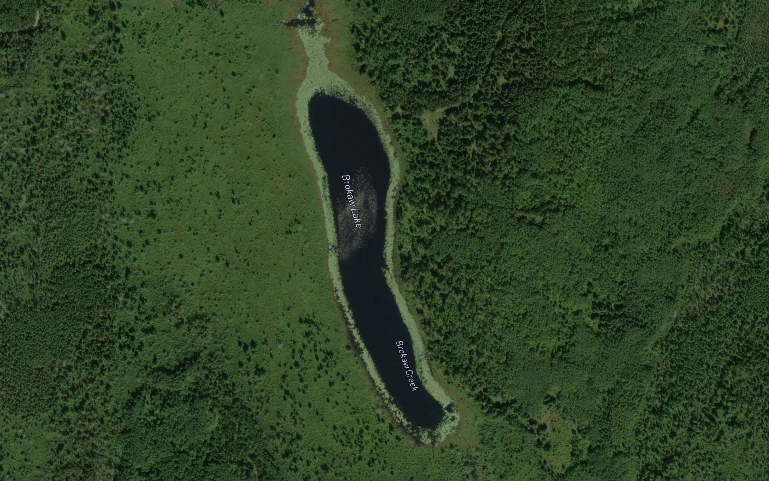 Brokaw Lake