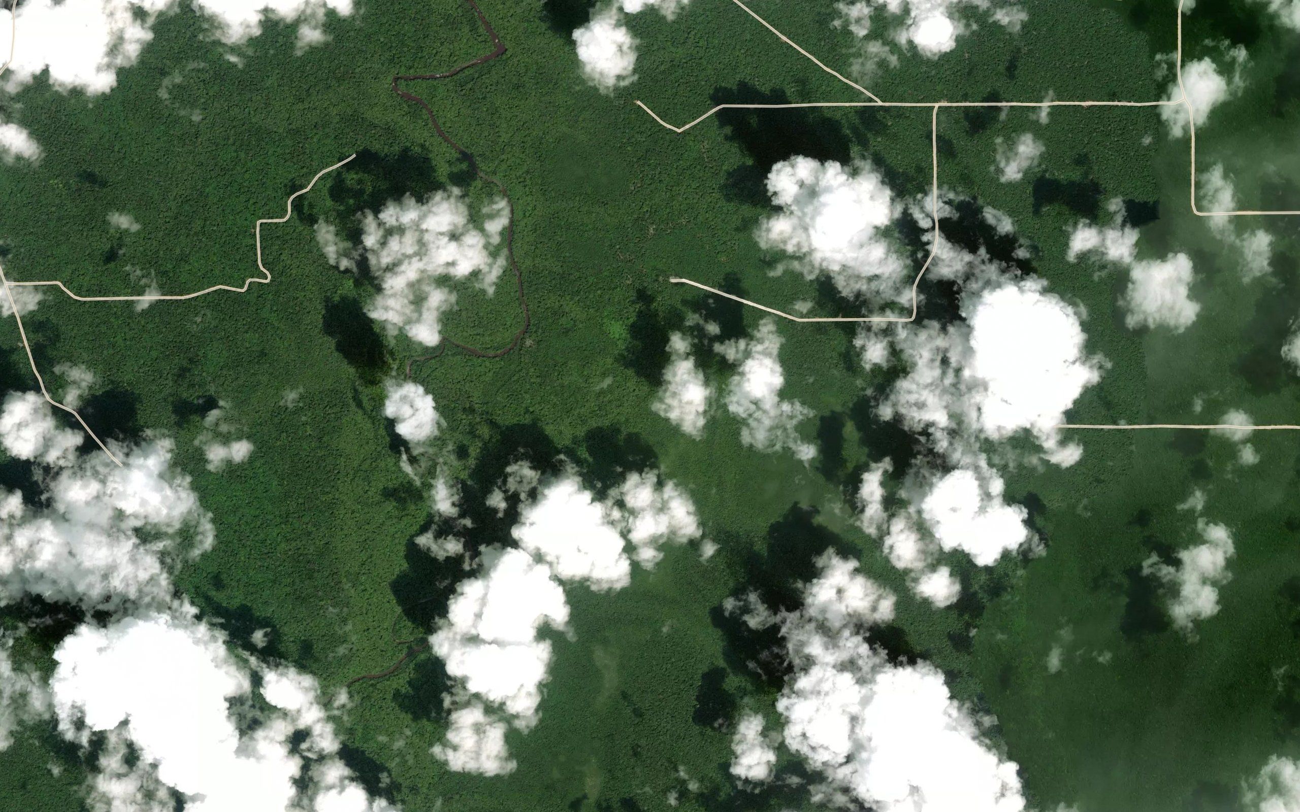 Rupununi River