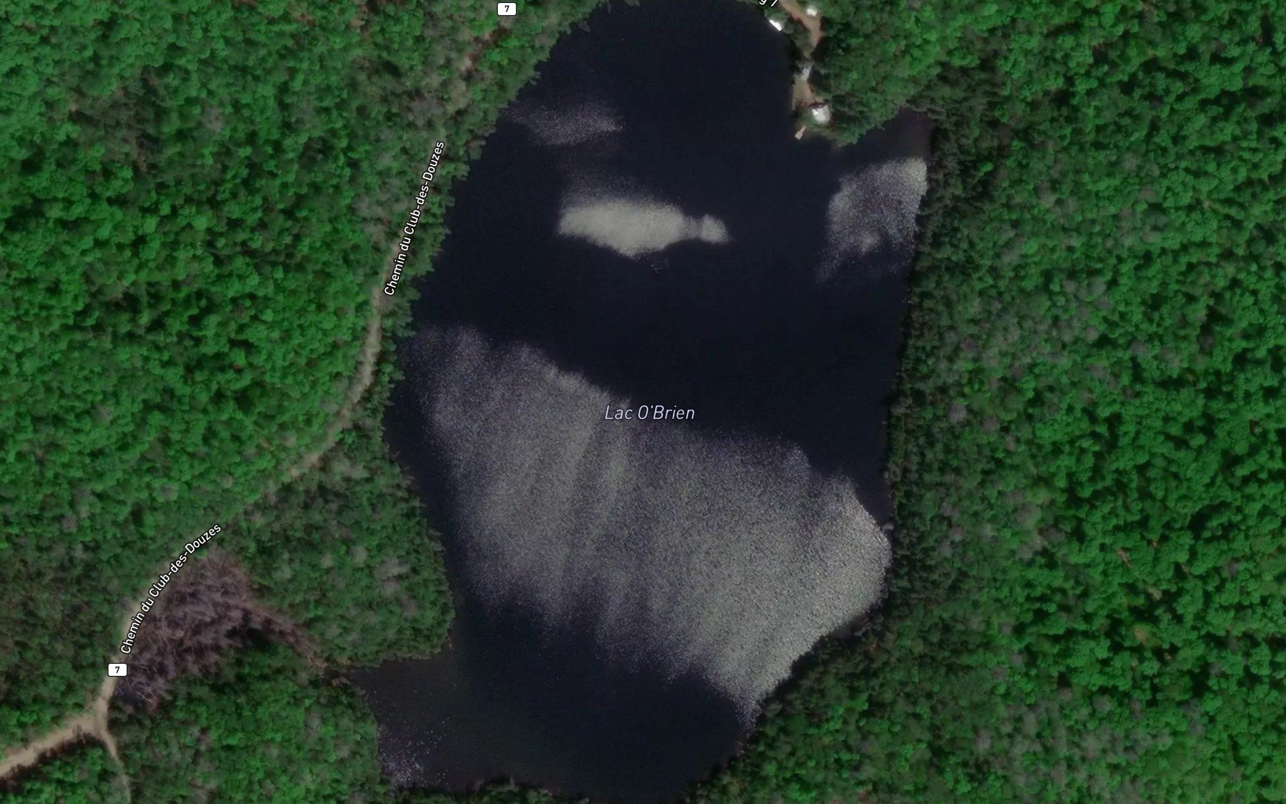 Lac O'Brien