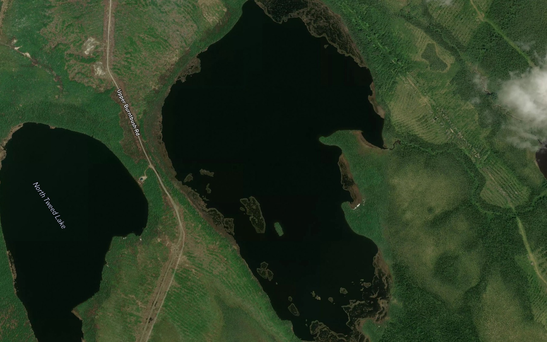 Satellite map of the Upper Burntbush Lake