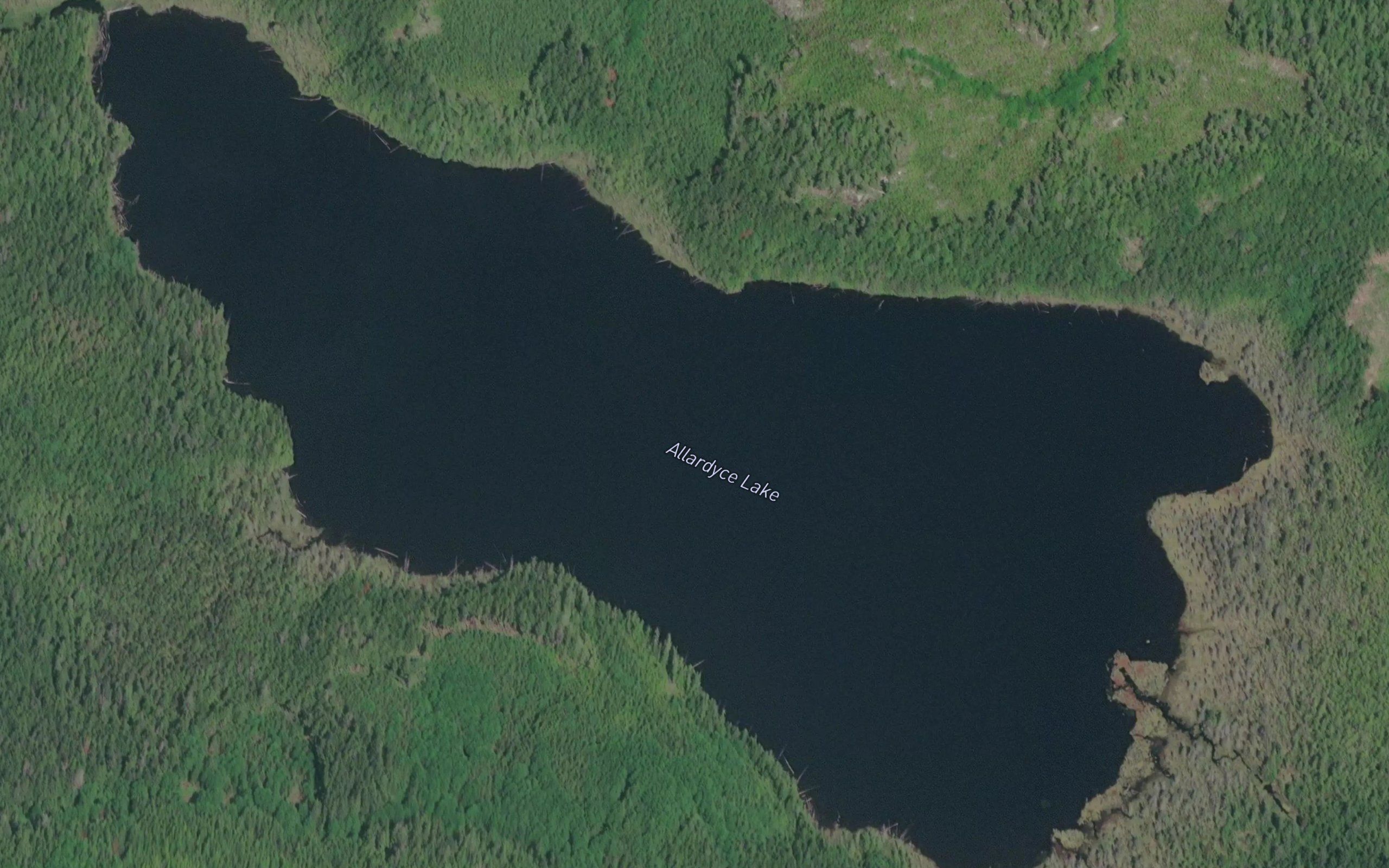 Allardyce Lake