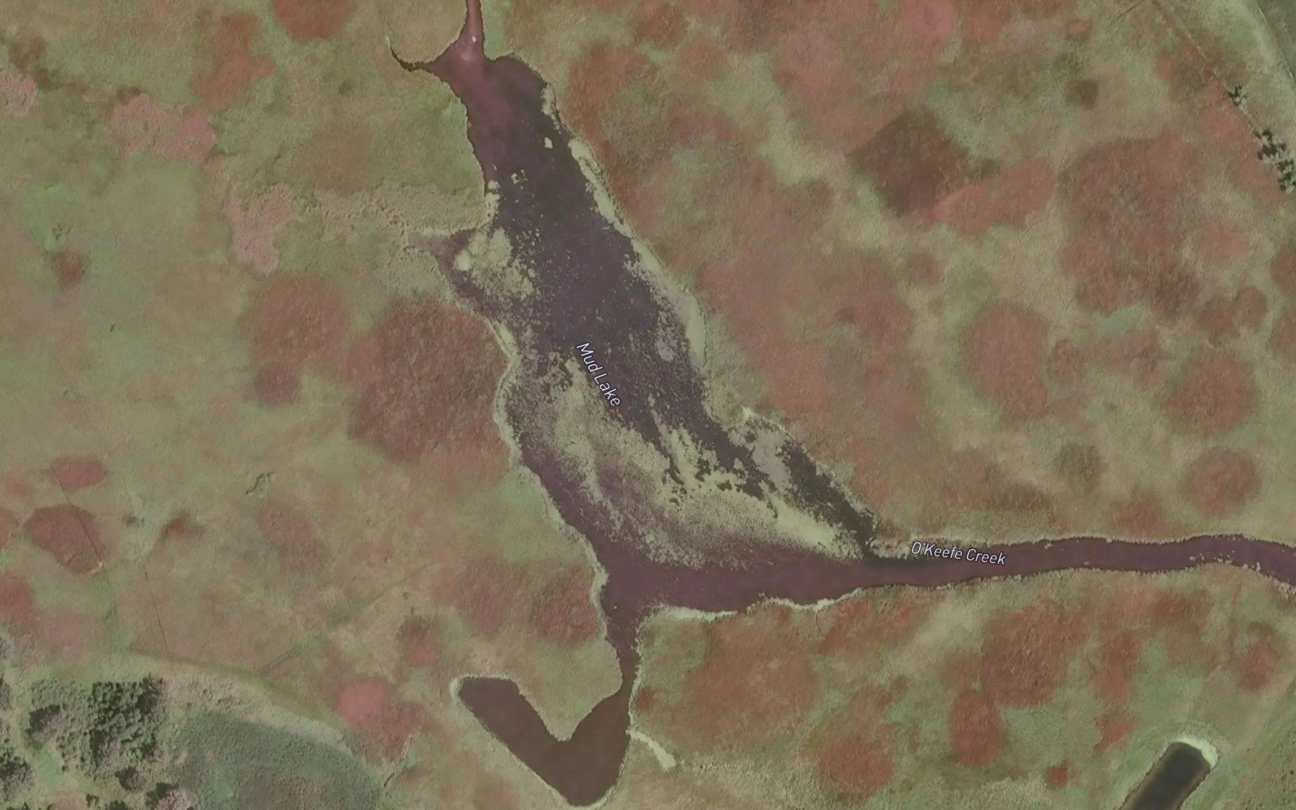 Mud Lake