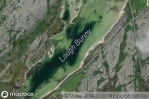 Lough Bunny