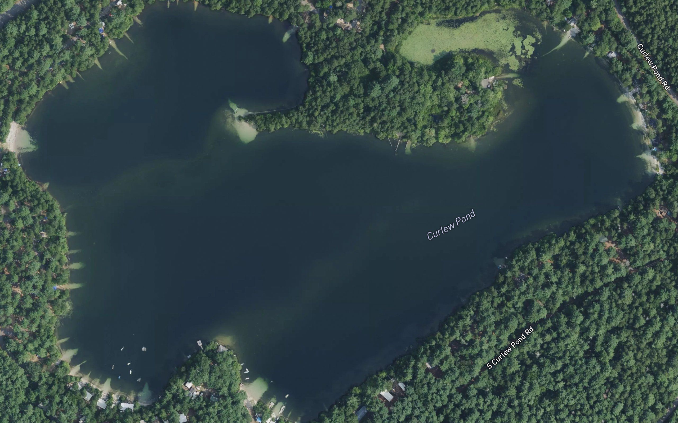 Curlew Pond