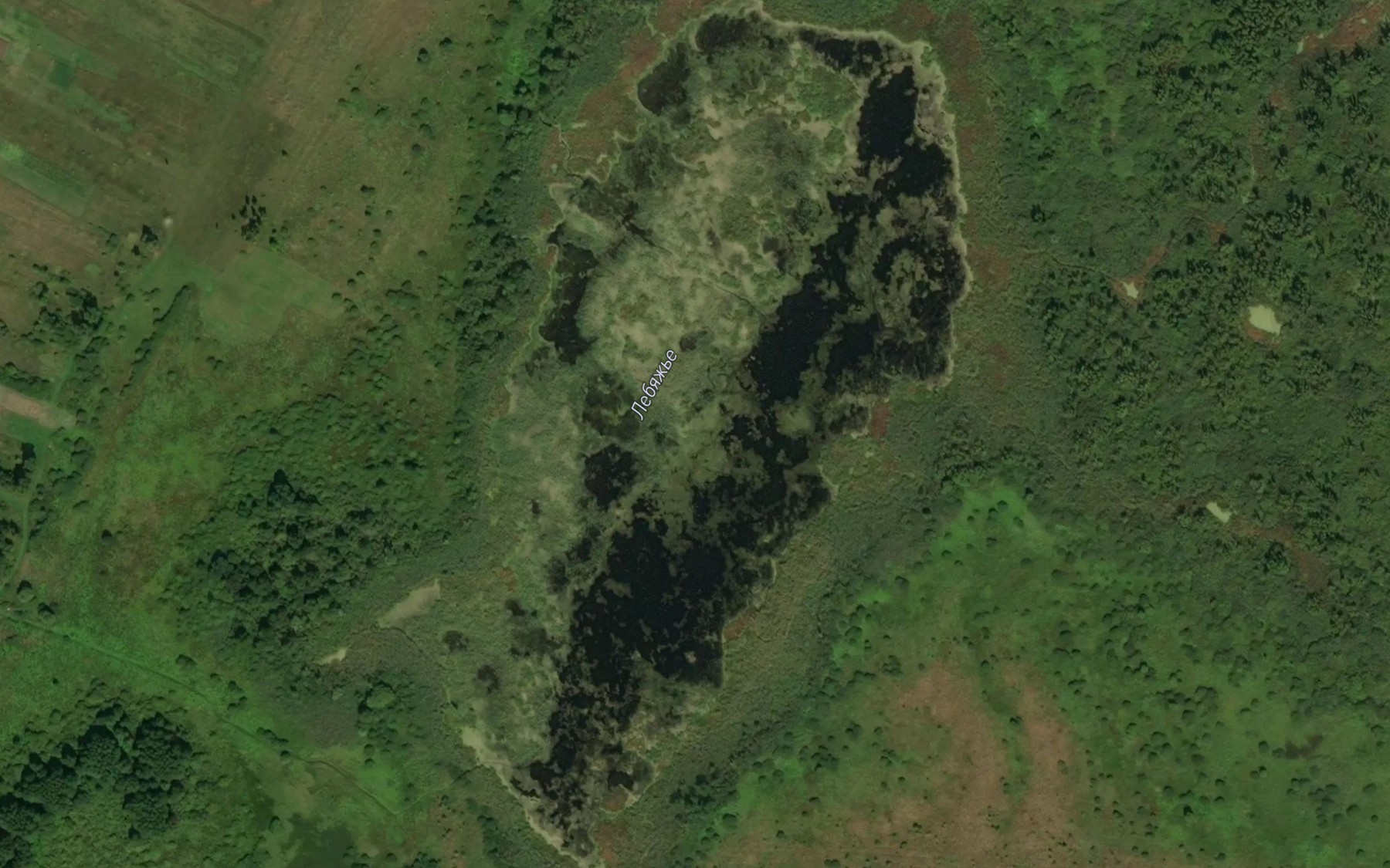 Satellite map of the Ozero Lebyazh'ye