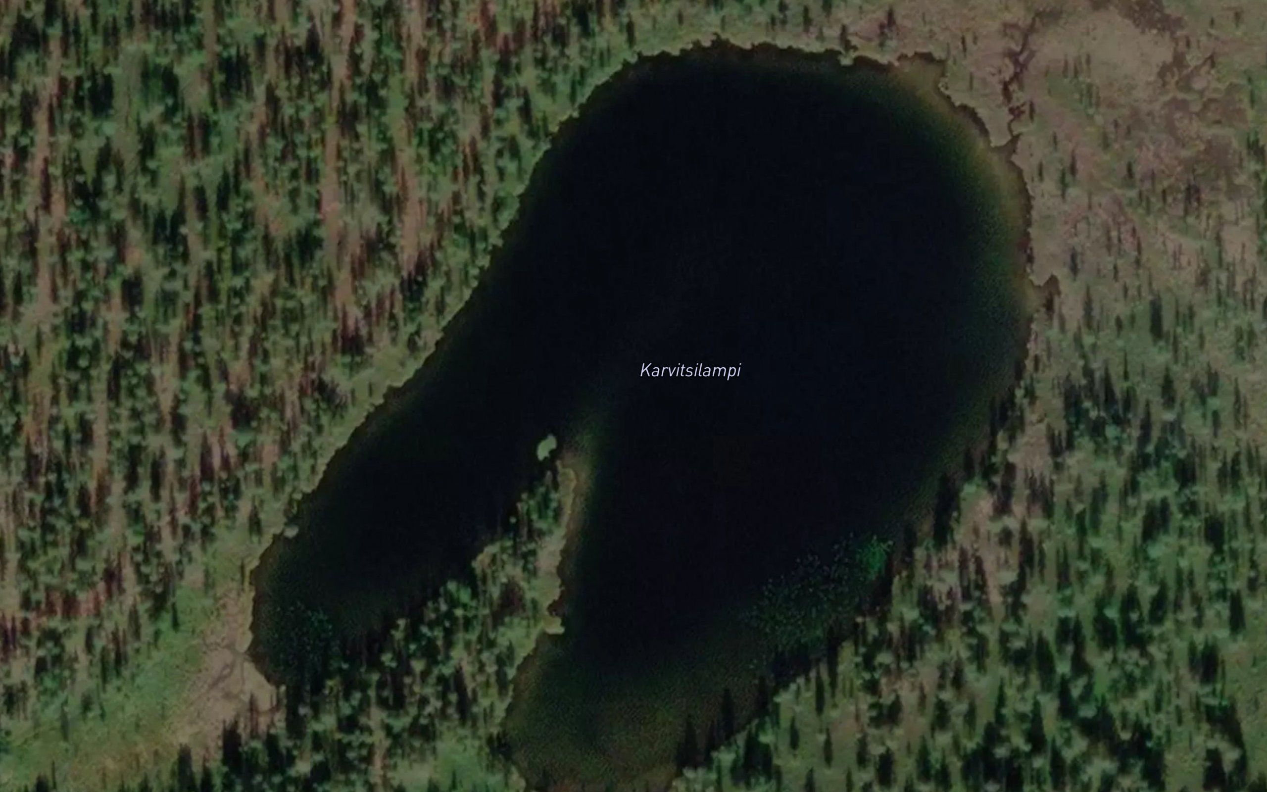Karvitsilampi