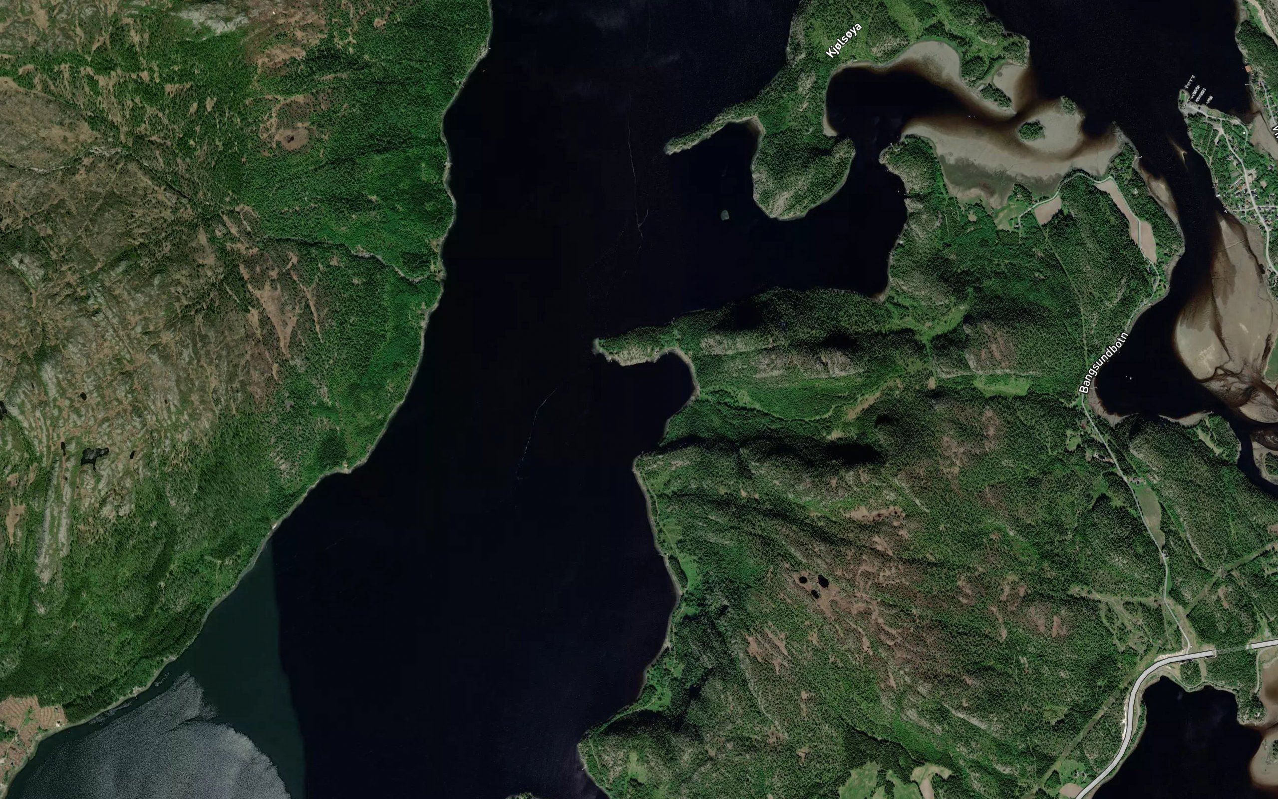 Lyngnesvika