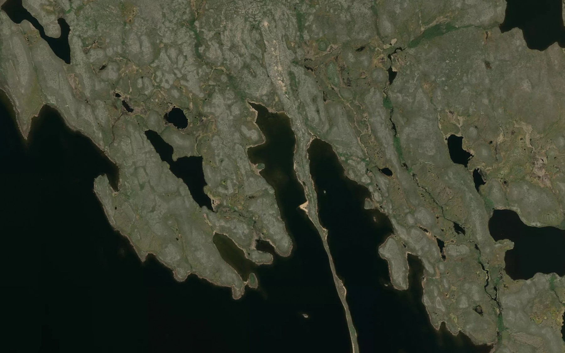 Satellite map of the Waitt Bay