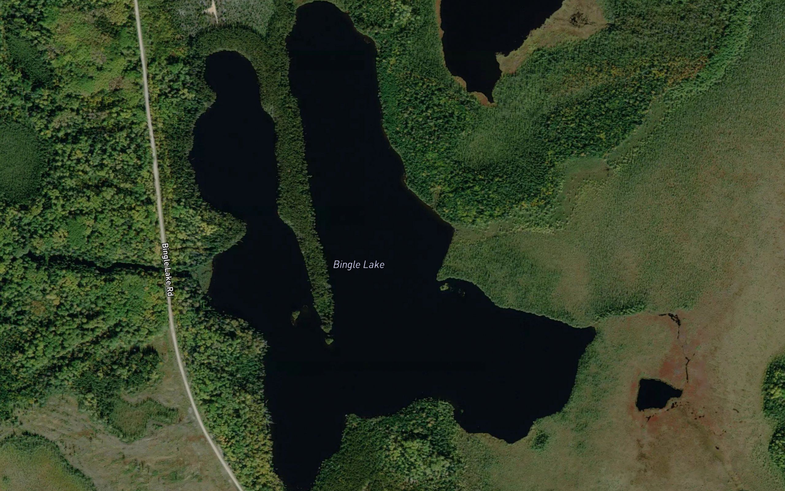 Bingle Lake