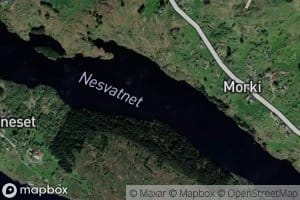 Nesvatnet