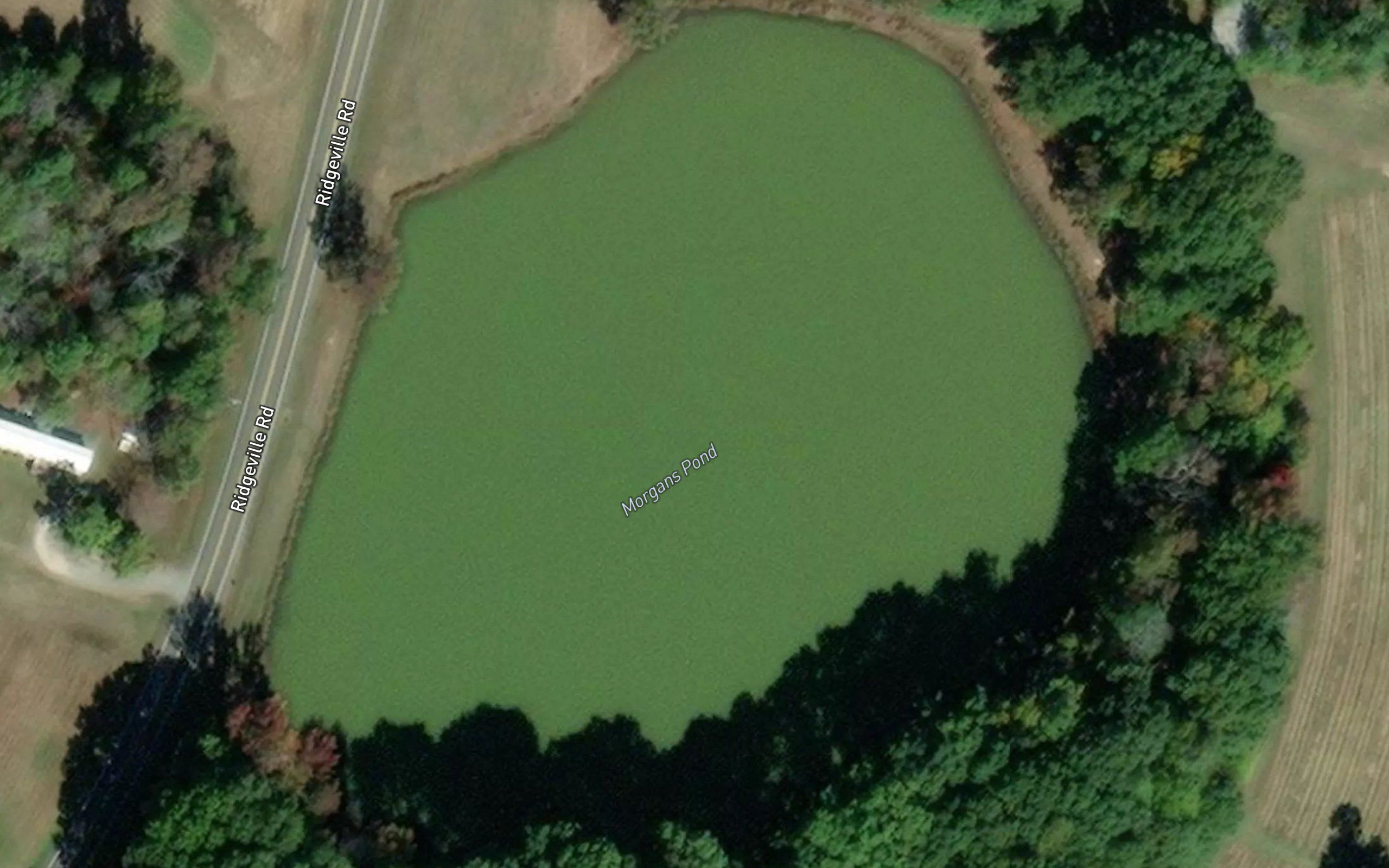 Morgans Pond