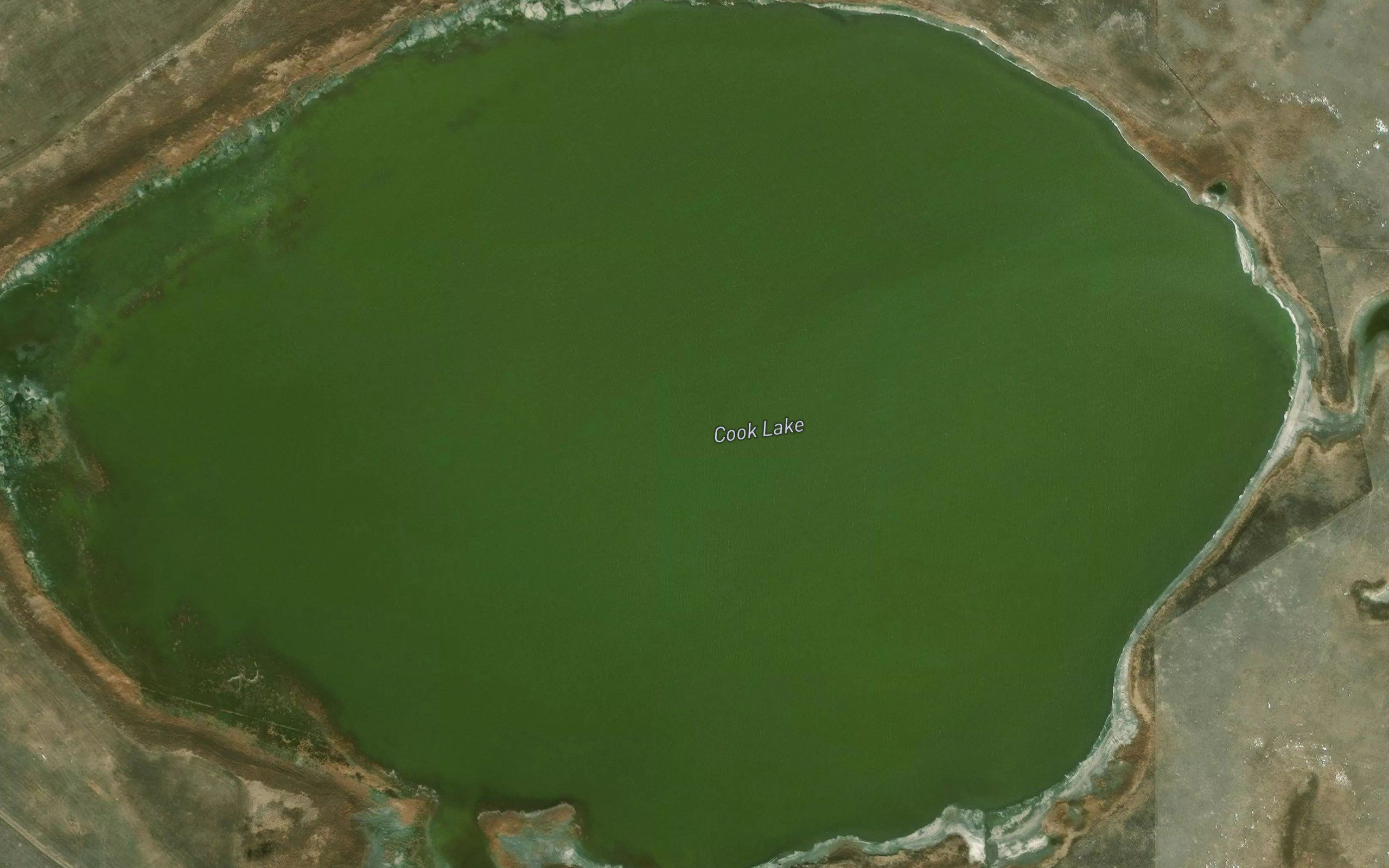 Cook Lake