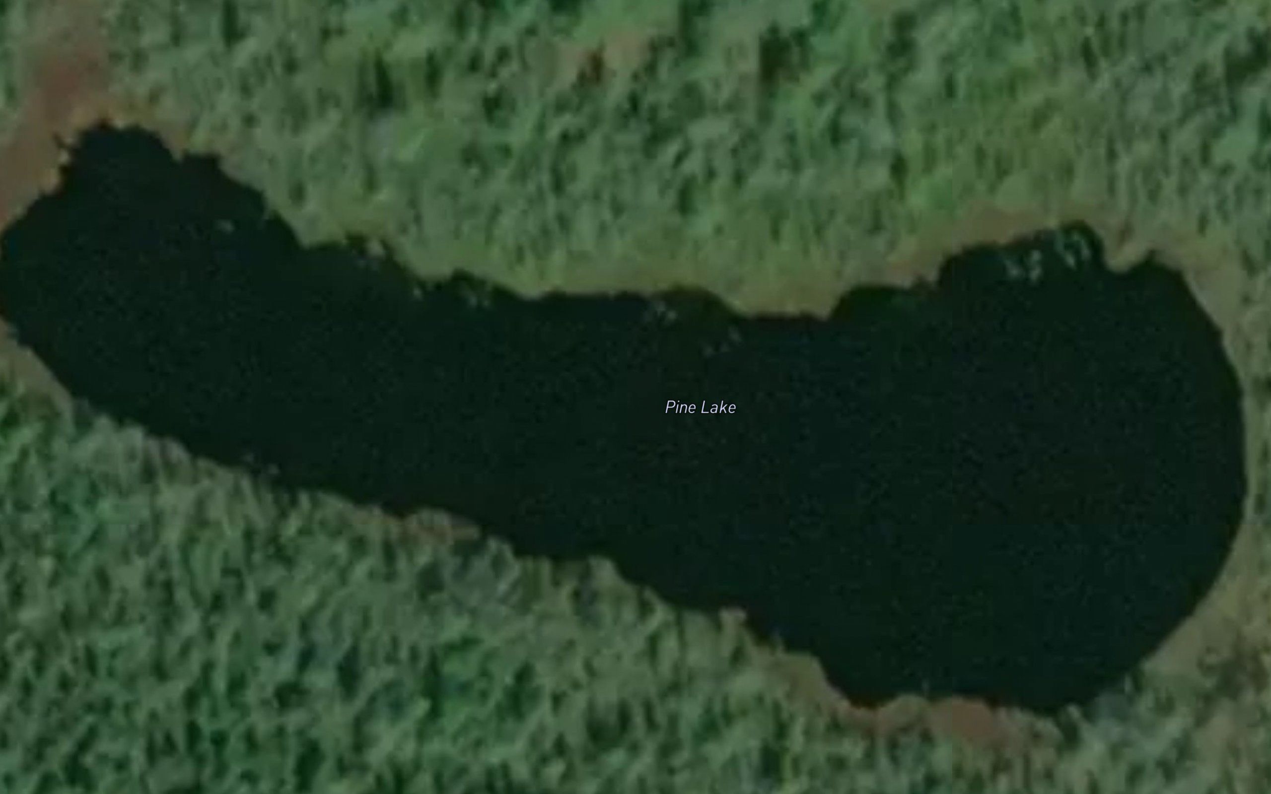 Pine Lake
